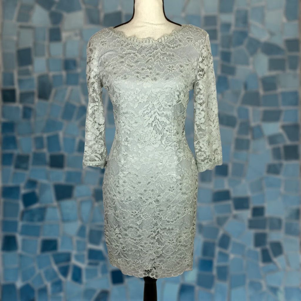 Lulus Lulu's Sheath Dress Womans Floral Lace Overlay 3/4 Sleeve Grey Lined M Womens Dress