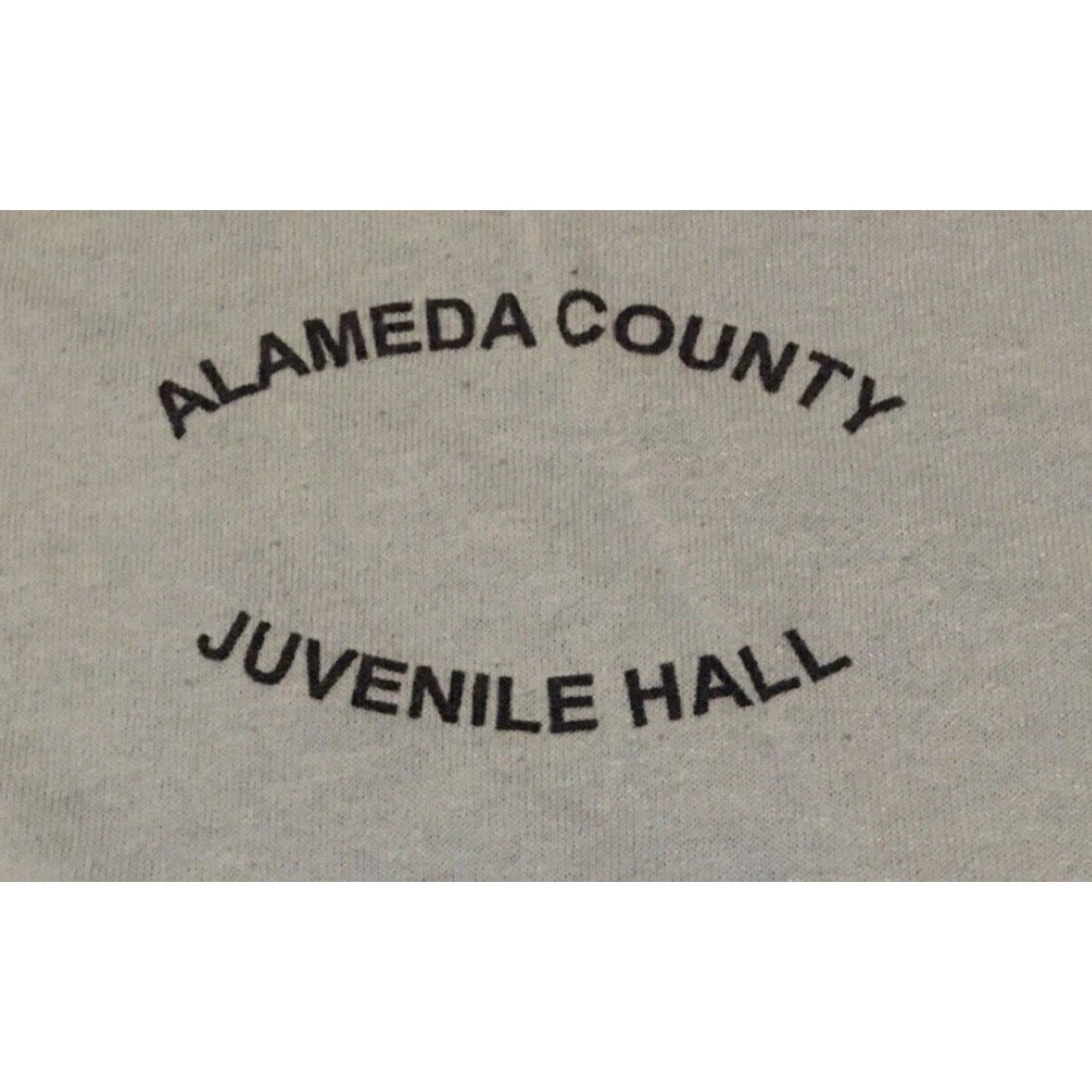 Vintage VINTAGE Alameda County Juvenile Hall Inmate Shirt 2XL Blue Distressed 90s Grunge Prisoner Shirt Mens 2XL T-Shirt Size US XXL / EU 58 / 5 - 2 Thumbnail