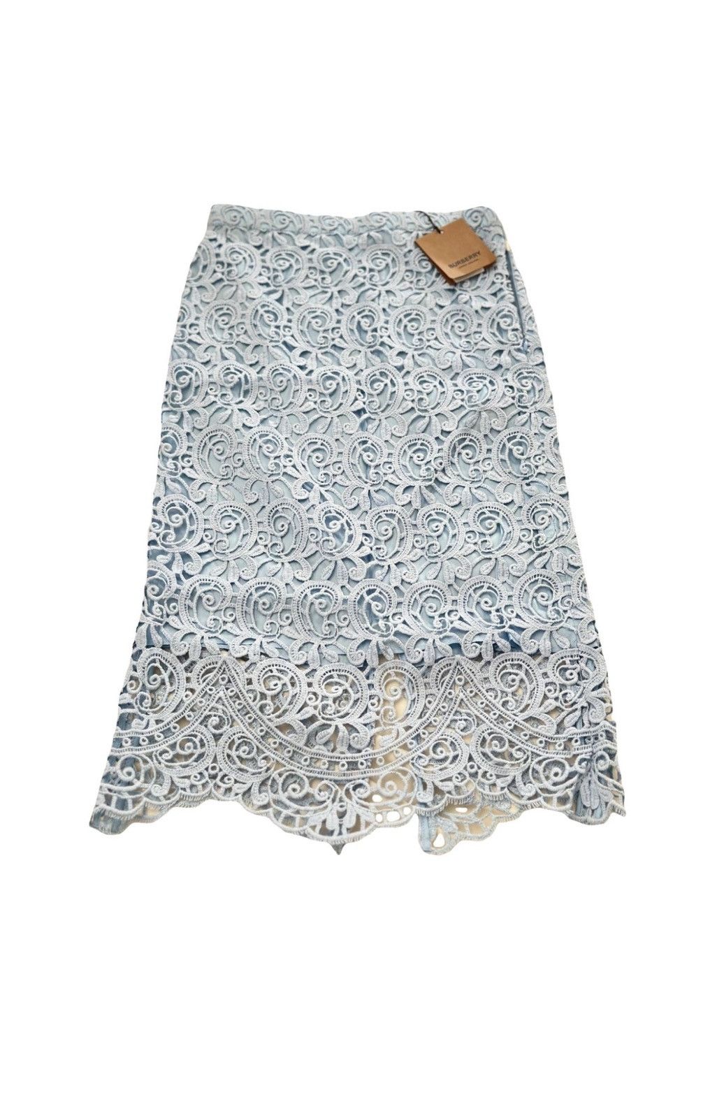 Burberry NWT Burberry High waist lace embroidered mid skirt /UK4 Size 25" / US 0 / IT 36 - 1 Thumbnail