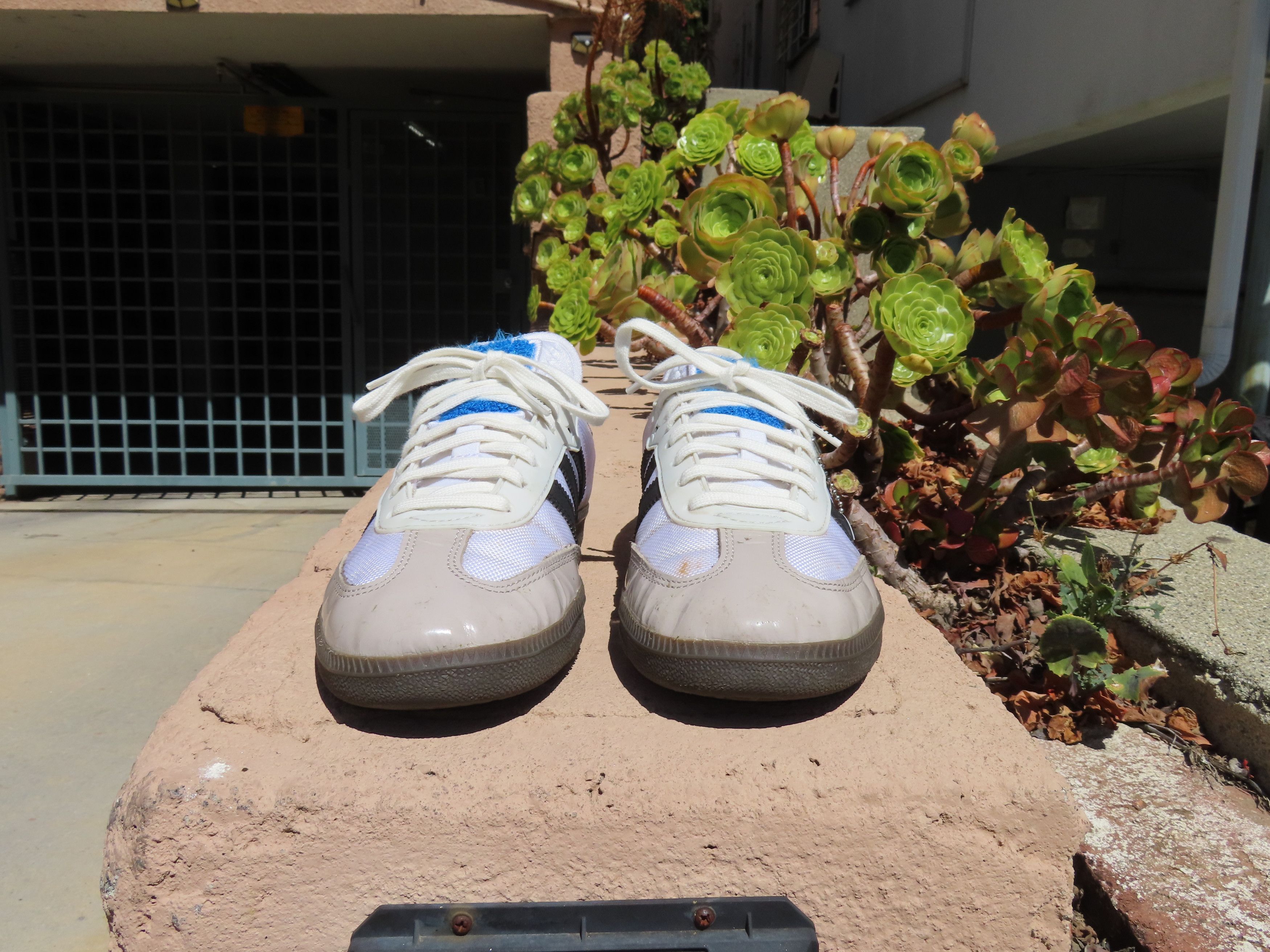 Adidas Adidas Samba x BSTN ‘Consortium Cup’ Size US 8 / EU 41 - 3 Thumbnail