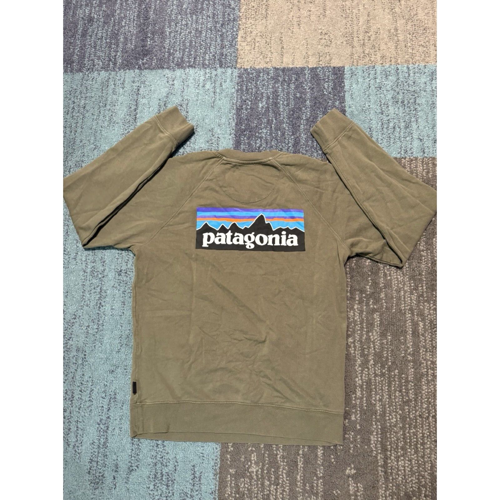 Patagonia Patagonia Sweatshirt Mens Small Green P-6 Logo Organic Crew French Terry Size US S / EU 44-46 / 1 - 7 Thumbnail