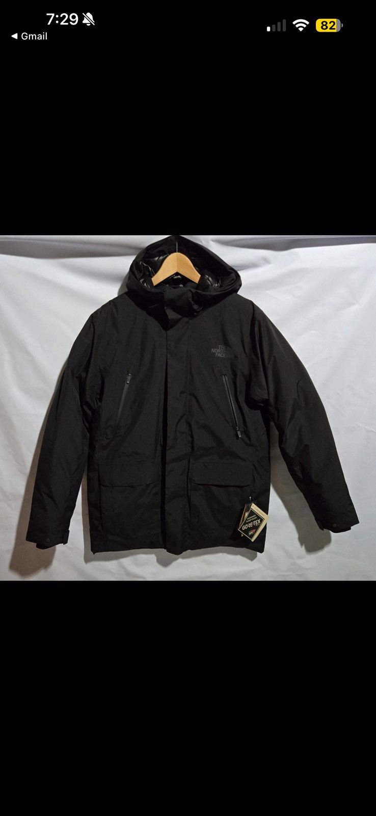 The North Face The North Face Gore-Tex Arctic Parka Mens Medium 600fill Size US M / EU 48-50 / 2 - 1 Thumbnail