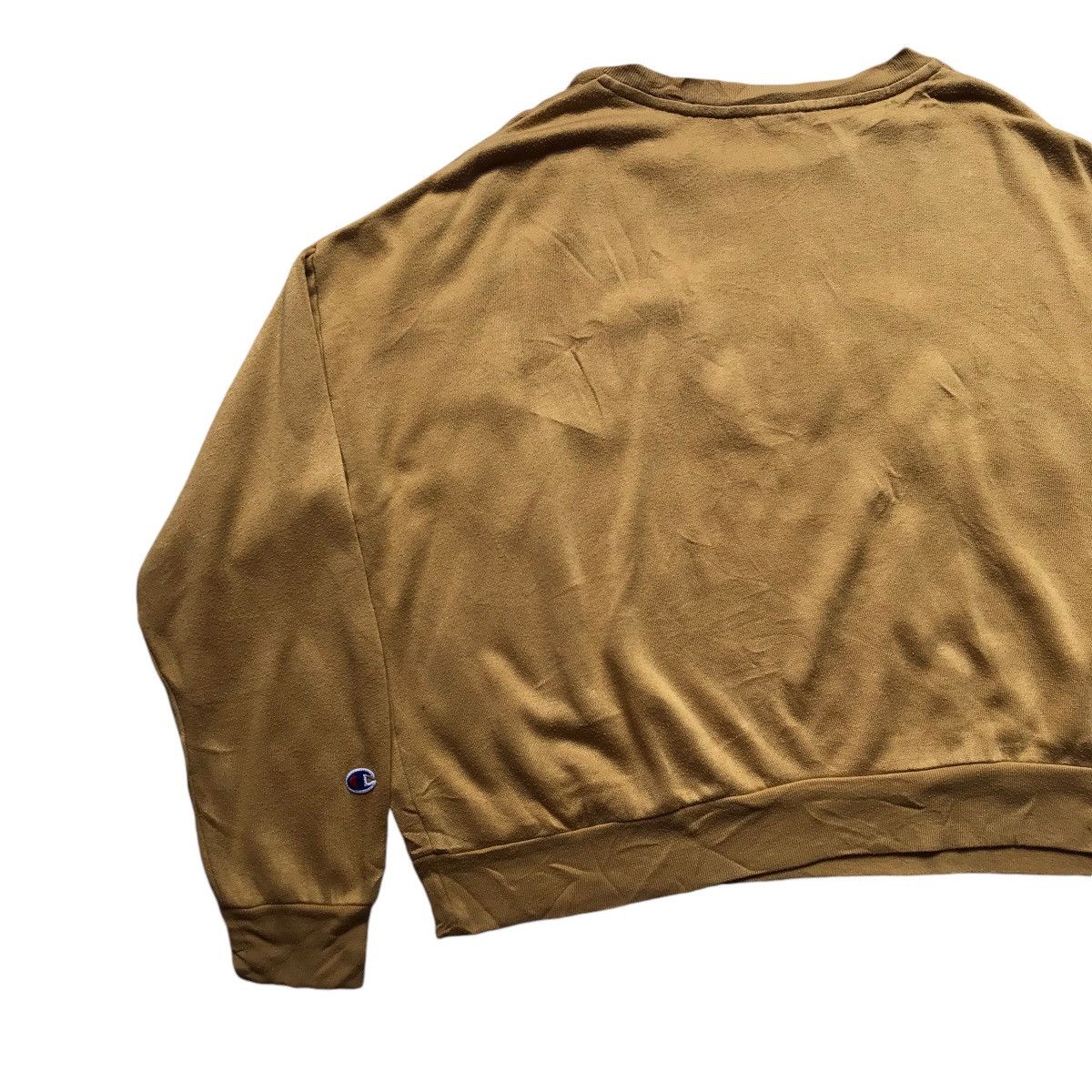 Champion Vintage Champion Spellout Crewneck cropped Size M / US 6-8 / IT 42-44 - 8 Thumbnail