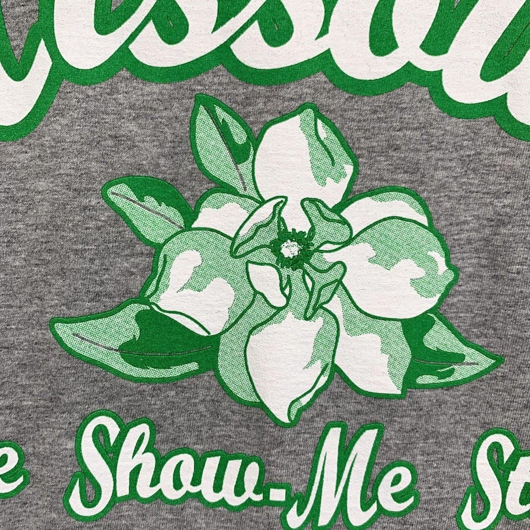 Fruit Of The Loom Missouri T Shirt Mens XL The Show Me State Hawthorn Blossom Gray EUC Fruit of the Loom Logo Knit Crew Neck Short Sleeve Art American Unisex Adults XS? Size US XL / EU 56 / 4 - 5 Thumbnail