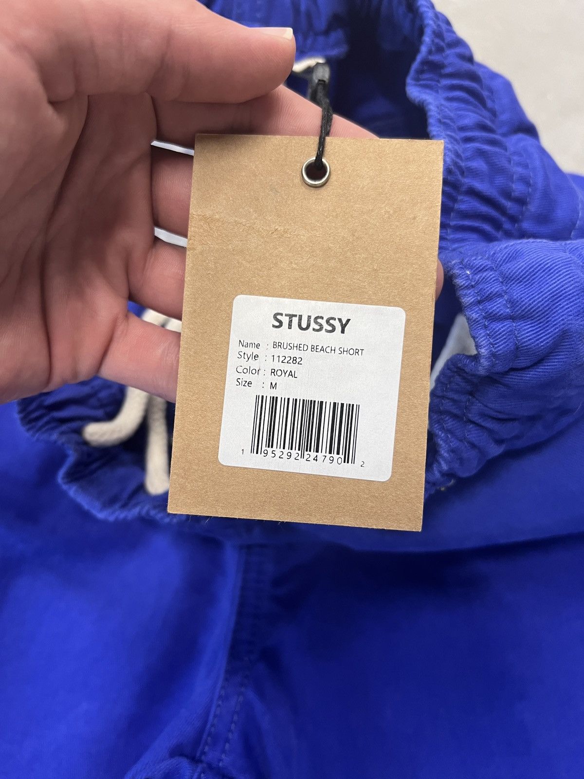 Stussy Stussy Brushed Beach Short Royal Size US 30 / EU 46 - 5 Thumbnail