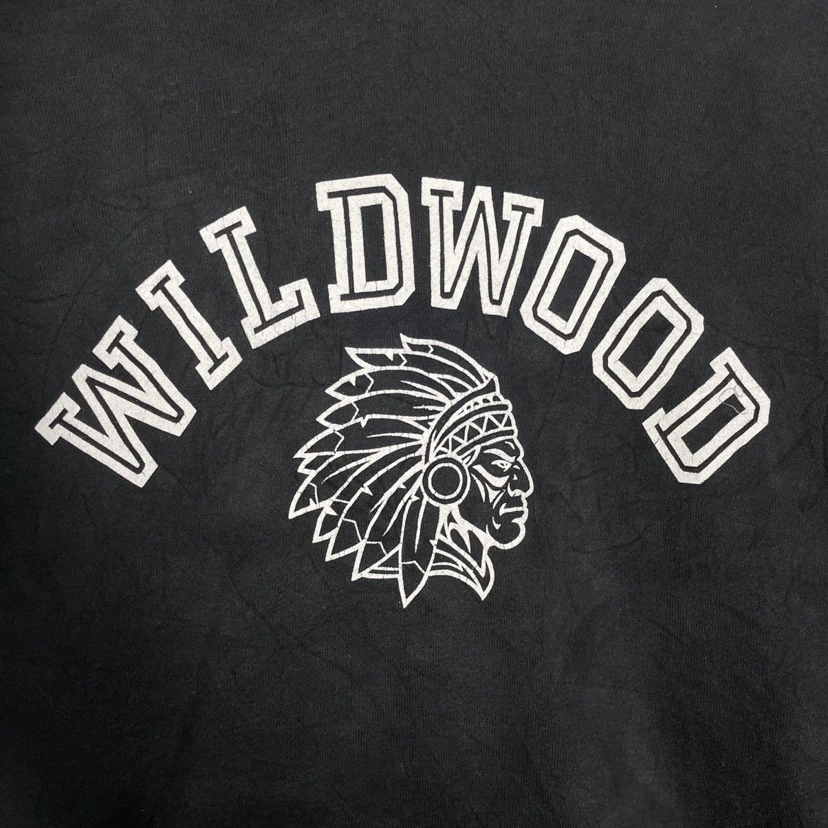 Champion Champion Wildwood Pullover Hoodie Size US M / EU 48-50 / 2 - 12 Thumbnail