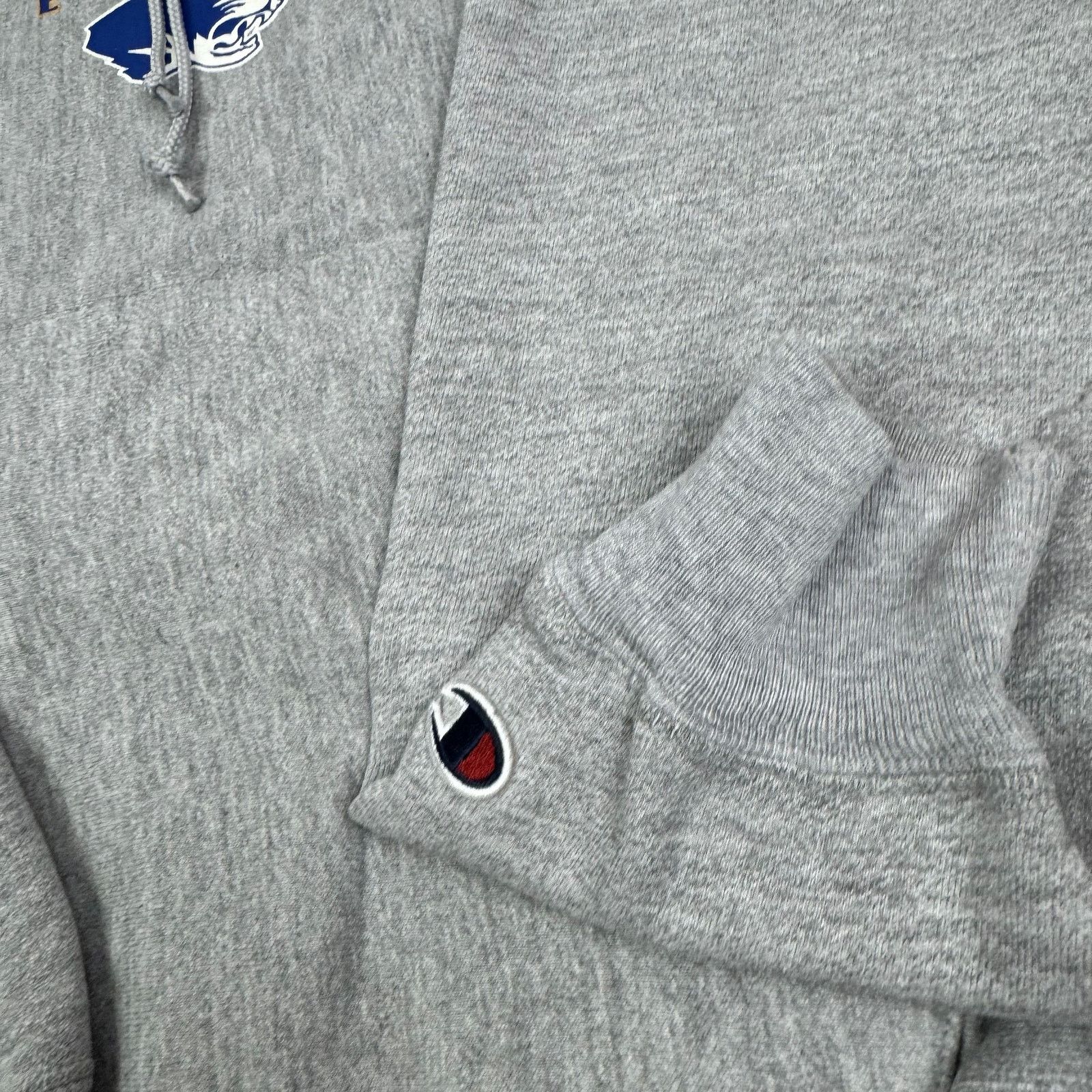 Champion Champion Premium Weave Men Wrestling Downingtown East Hoodie Size US M / EU 48-50 / 2 - 5 Thumbnail
