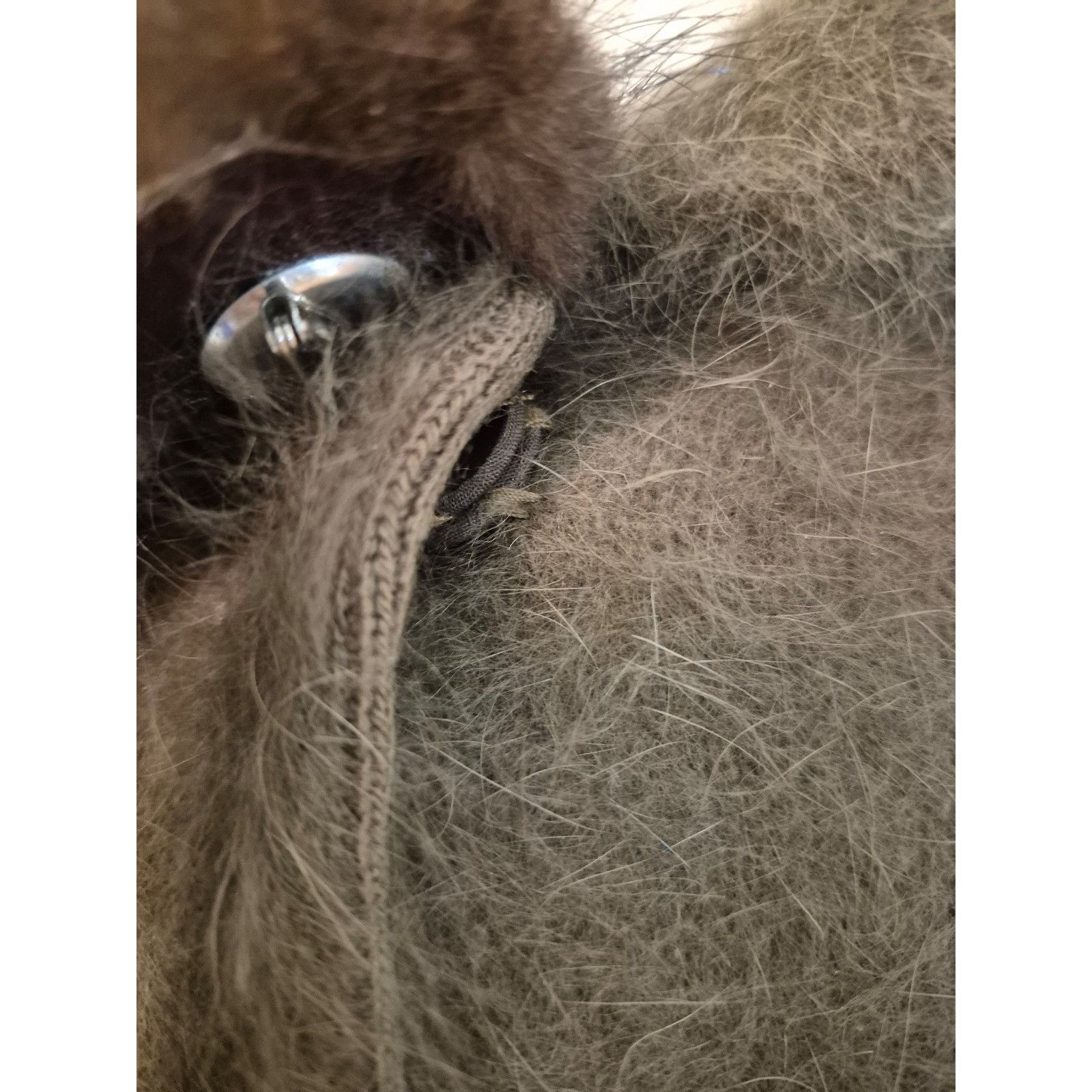 Vintage Vanesha Vintage Angora Mink Coatigan Sweater Oversized Brown Size M / US 6-8 / IT 42-44 - 4 Thumbnail