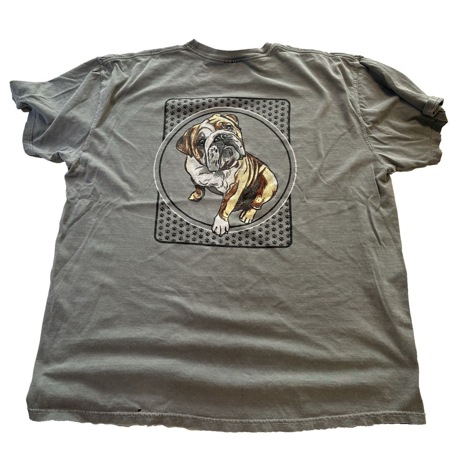 Comfort Colors Comfort Colors Backwoods Born & Raised Dog T-shirt XL Gray Size US XL / EU 56 / 4 - 1 Thumbnail
