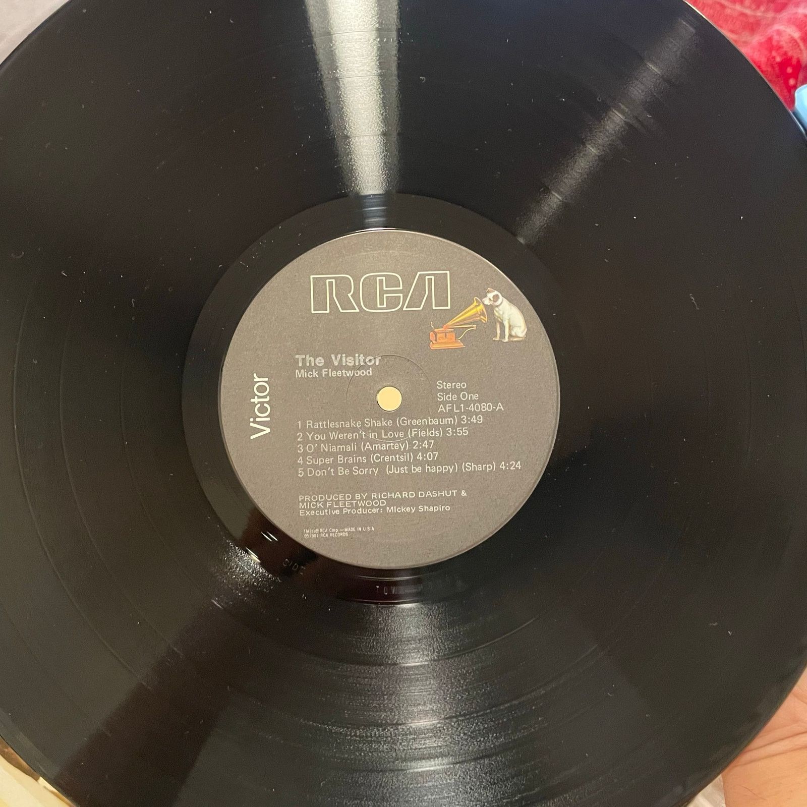 INTENTIONALLY BLANK Mick Fleetwood - The Visitor LP vintage vinyl record mac Size ONE SIZE - 3 Thumbnail