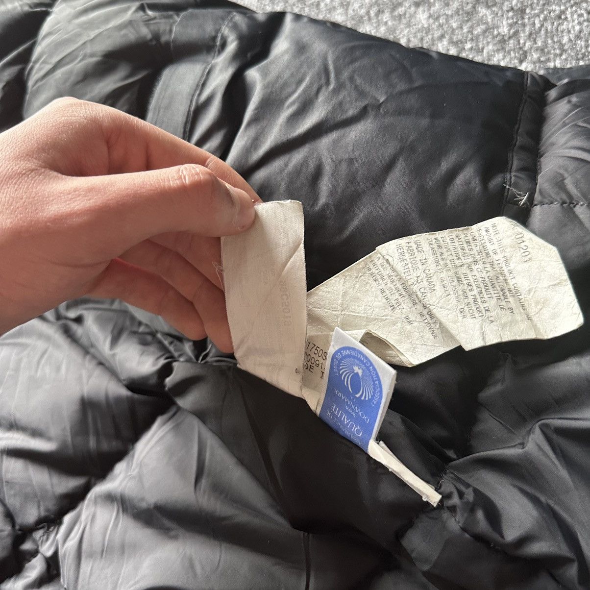 Canada Goose canada goose black label jacket Size L / US 10 / IT 46 - 14 Thumbnail