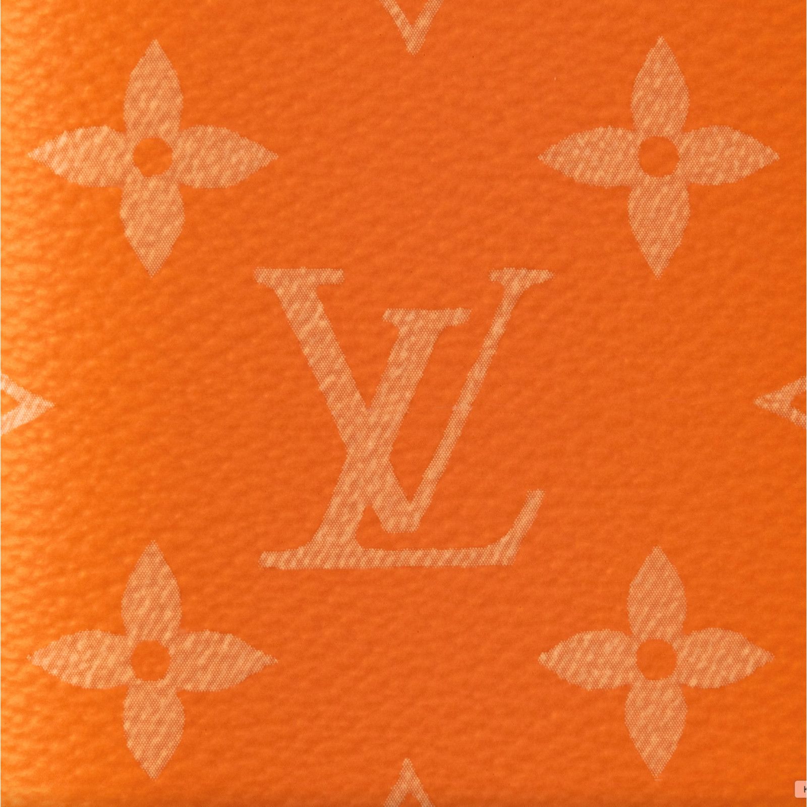 Louis Vuitton Louis Vuitton Taiga Taigarama Pocket Organizer Wallet Size ONE SIZE - 5 Thumbnail