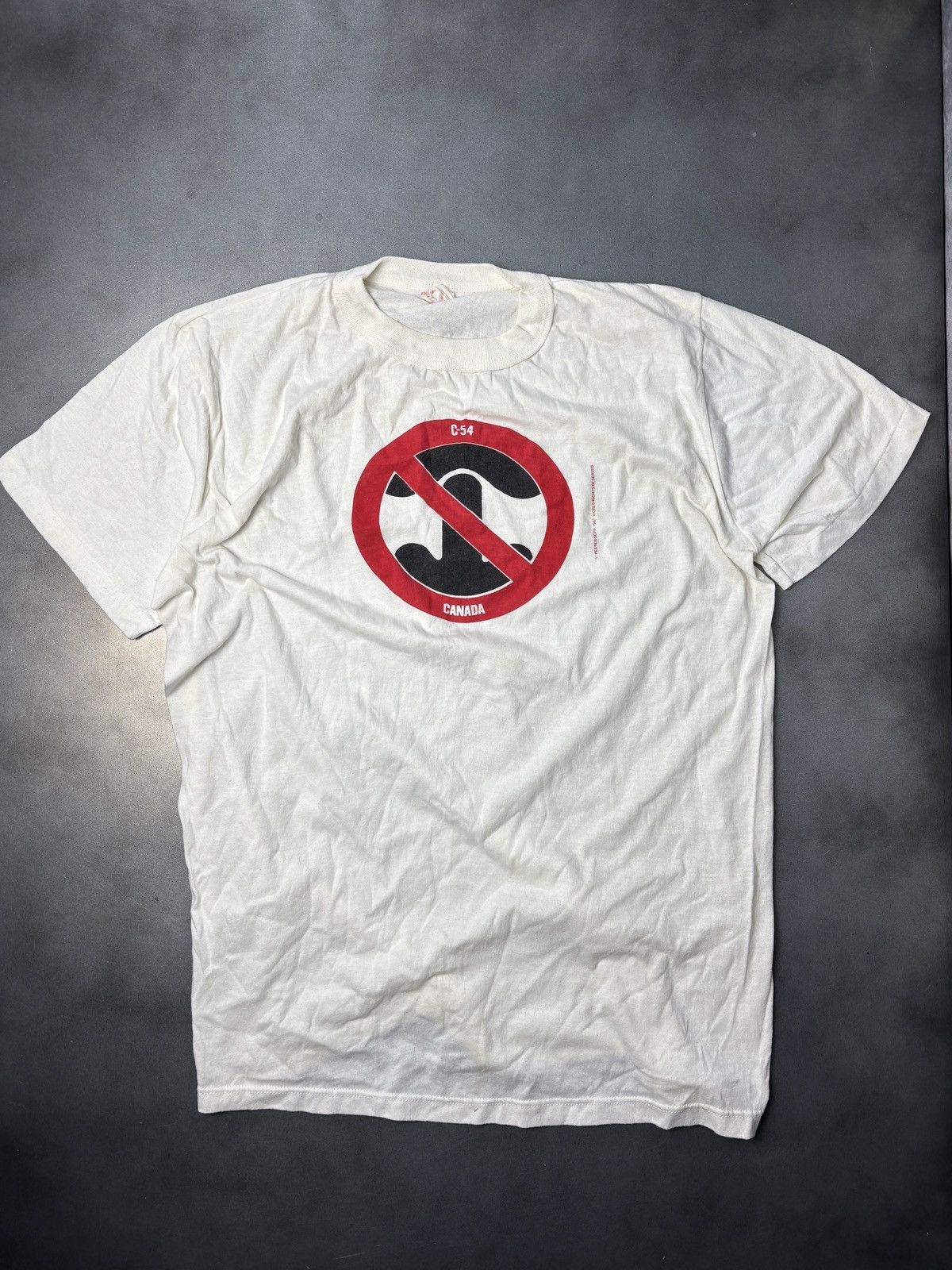 Vintage Vintage Political Protest Tee Kinda Sus Butt Sex Gay? Or No? Size US L / EU 52-54 / 3 - 2 Thumbnail