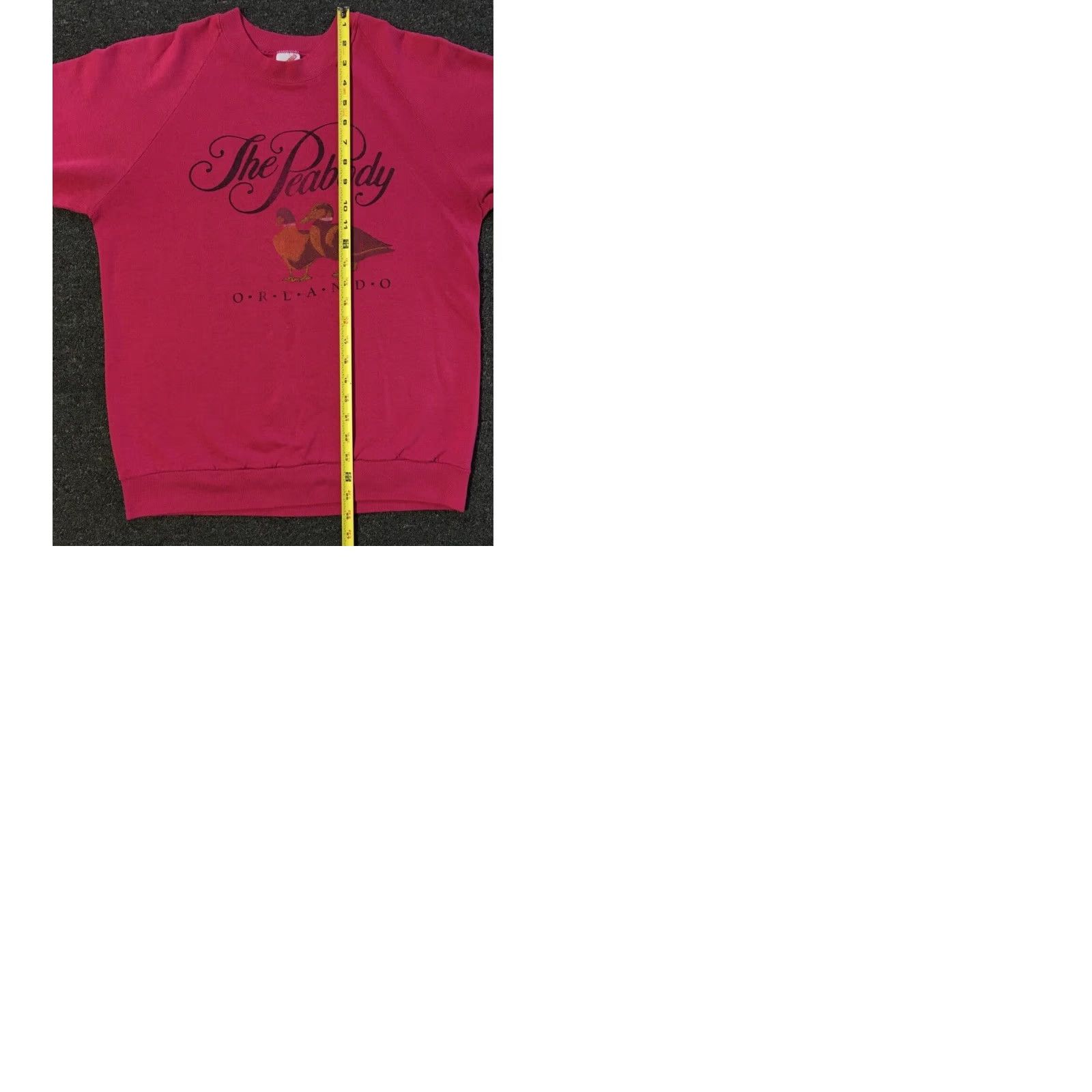 Vintage VINTAGE Peabody Hotel Ducks Hoodie Size US S / EU 44-46 / 1 - 10 Thumbnail