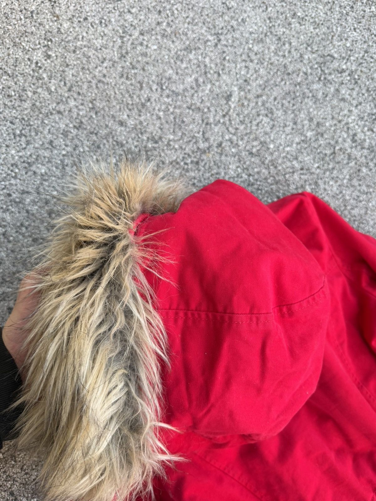 Hollister Hollister Fitted Fur Jacket Size M / US 6-8 / IT 42-44 - 17 Thumbnail