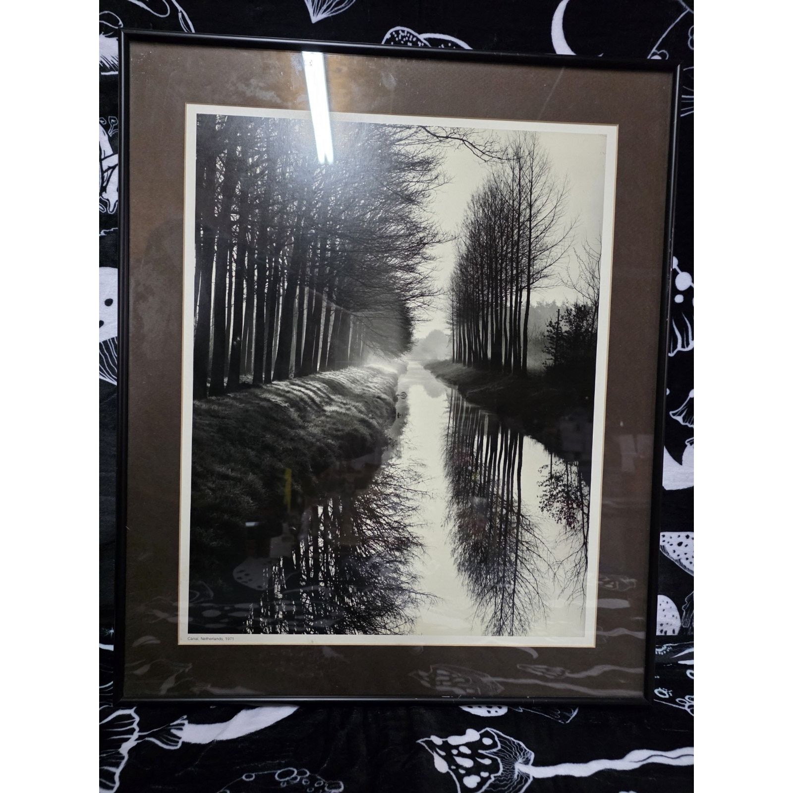 NADA "Canal Holland" Brett Weston 1971 Framed Print 24.5" X 20.5" Size ONE SIZE - 1 Thumbnail