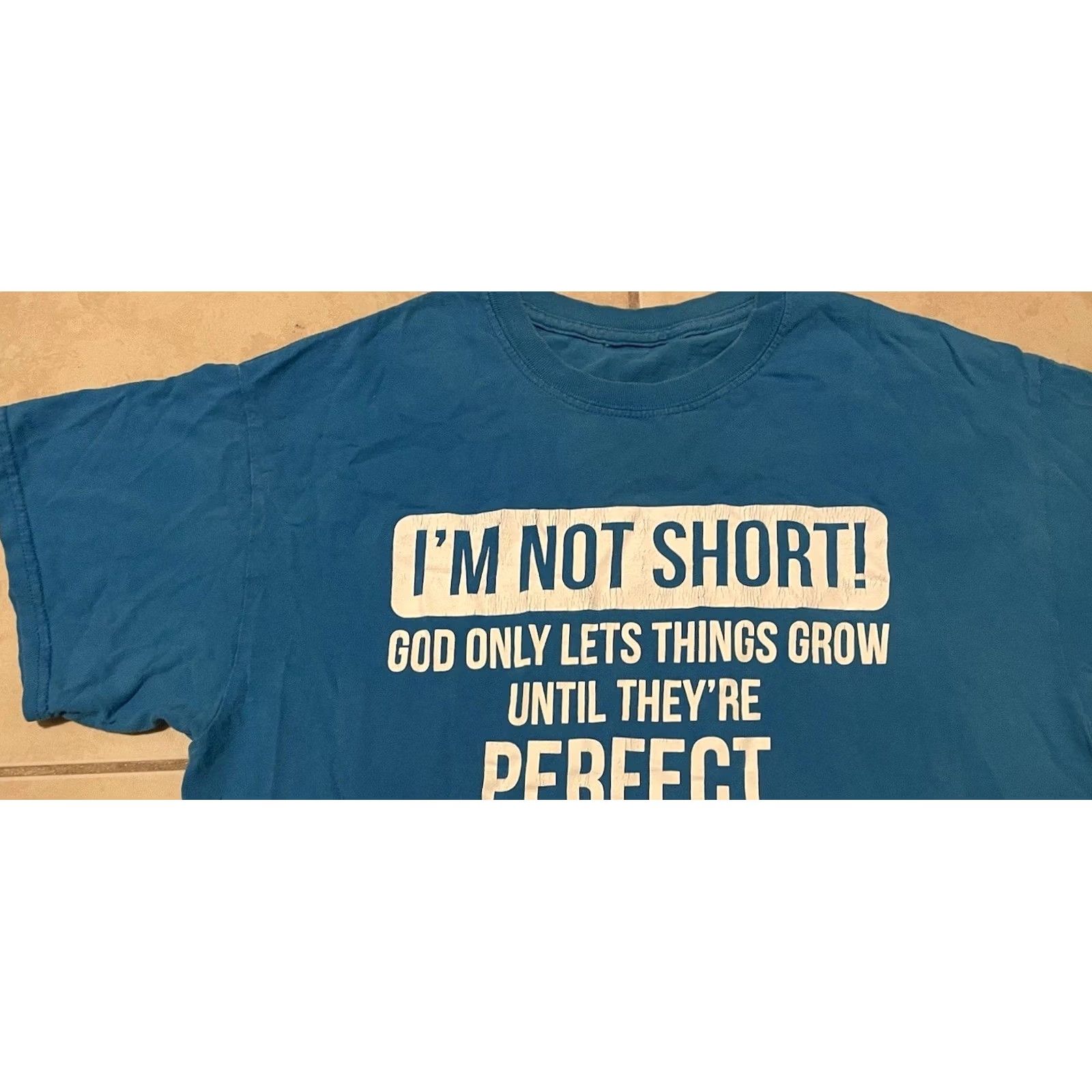 Vintage VINTAGE I’m Not Short Im Perfect Faded Shirt S Funny Saying Joke Humor Grunge Y2K 90s Shirt Mens Small Blue Sarcasm Size US S / EU 44-46 / 1 - 7 Thumbnail