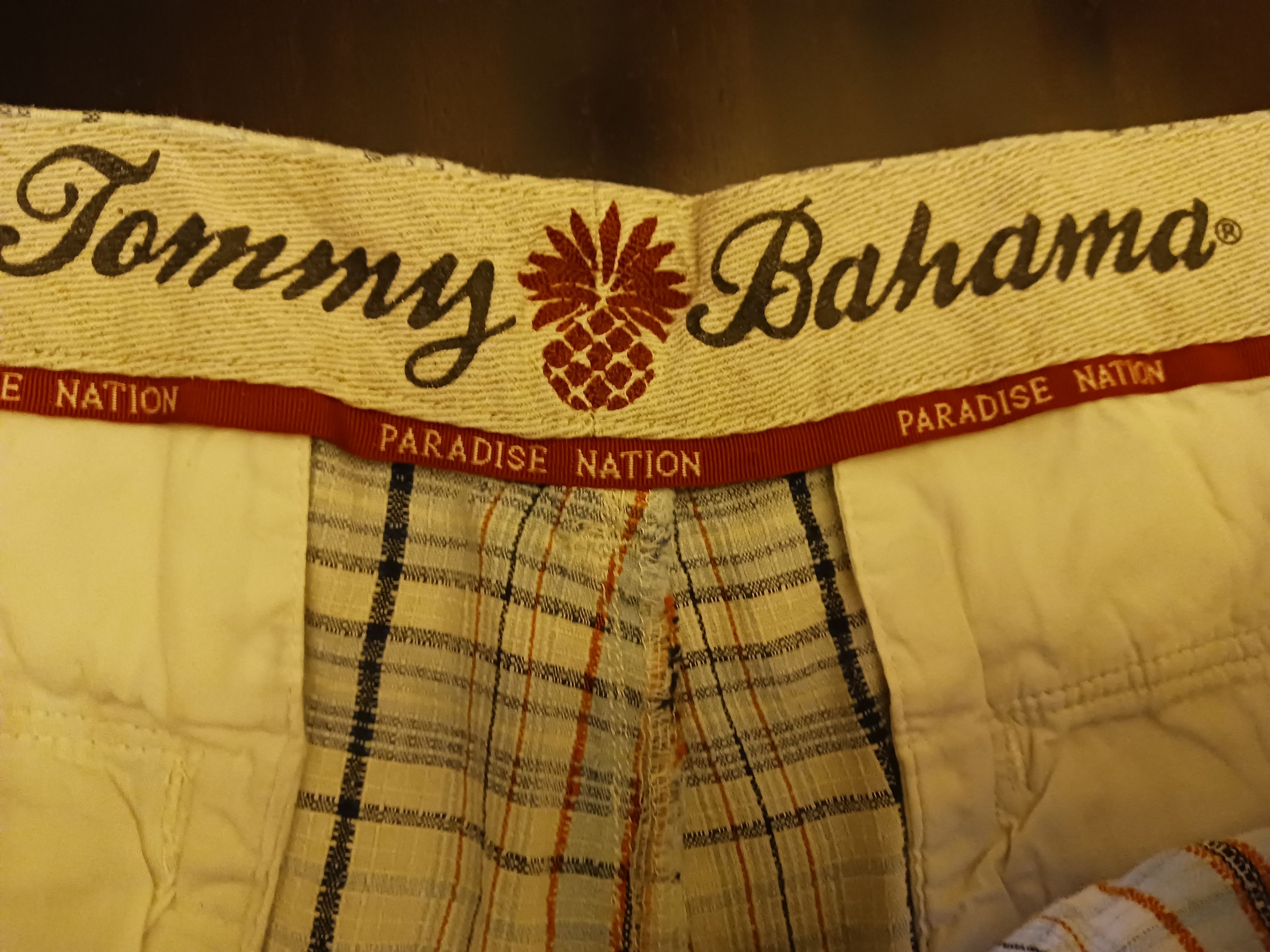Tommy Bahama Silk/Linen Flat Front Plaid Shorts Size US 38 / EU 54 - 3 Thumbnail