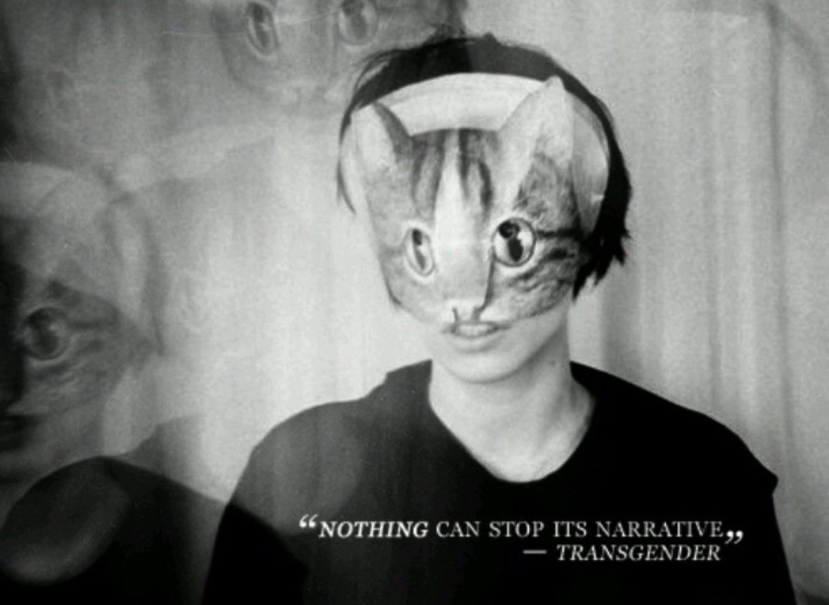 Band Tees Crystal Castles Cat Masks Size ONE SIZE - 14 Thumbnail