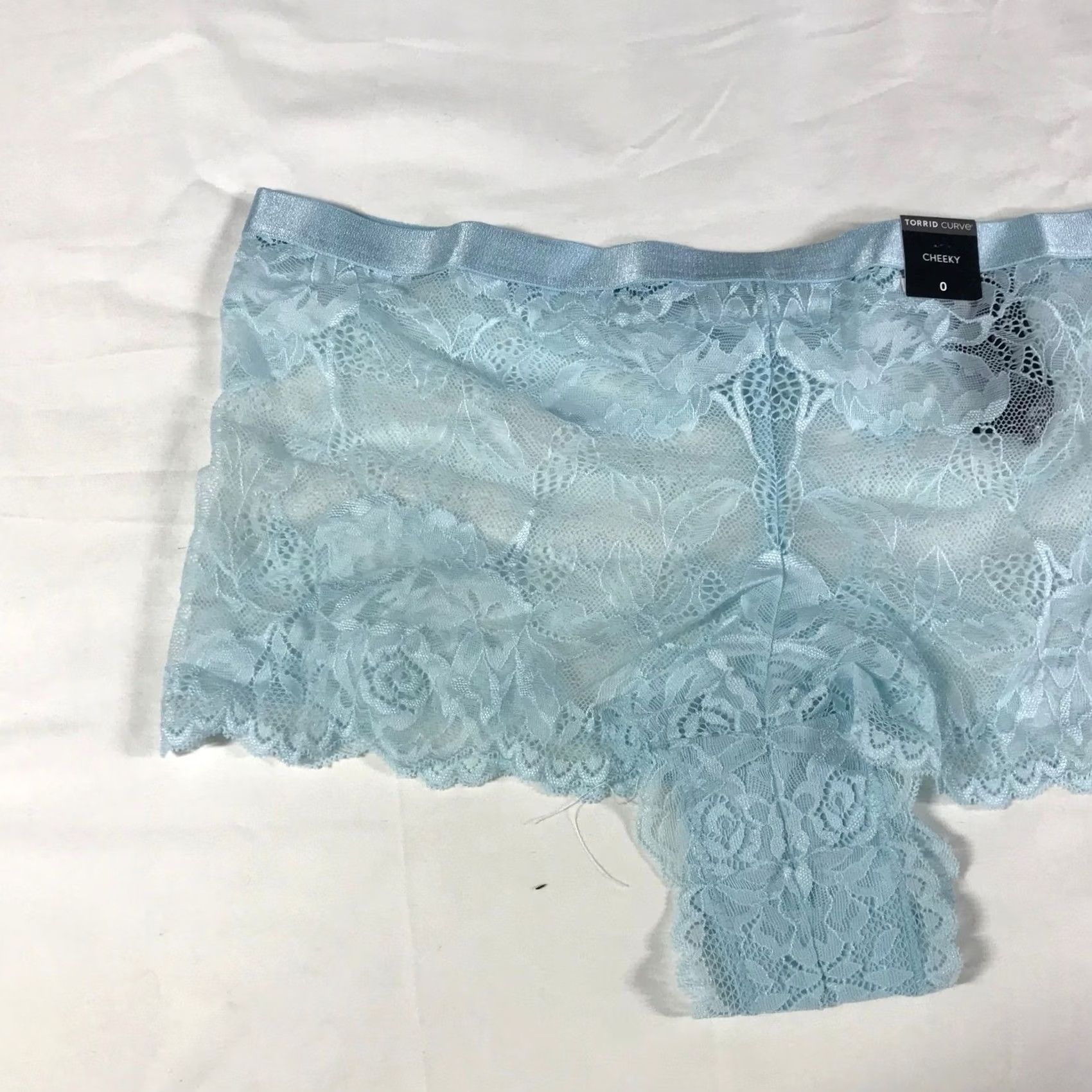 Torrid Torrid Curve Plus Size Cheeky Lace Panties Light Blue Floral Size 25" / US 0 / IT 36 - 2 Thumbnail
