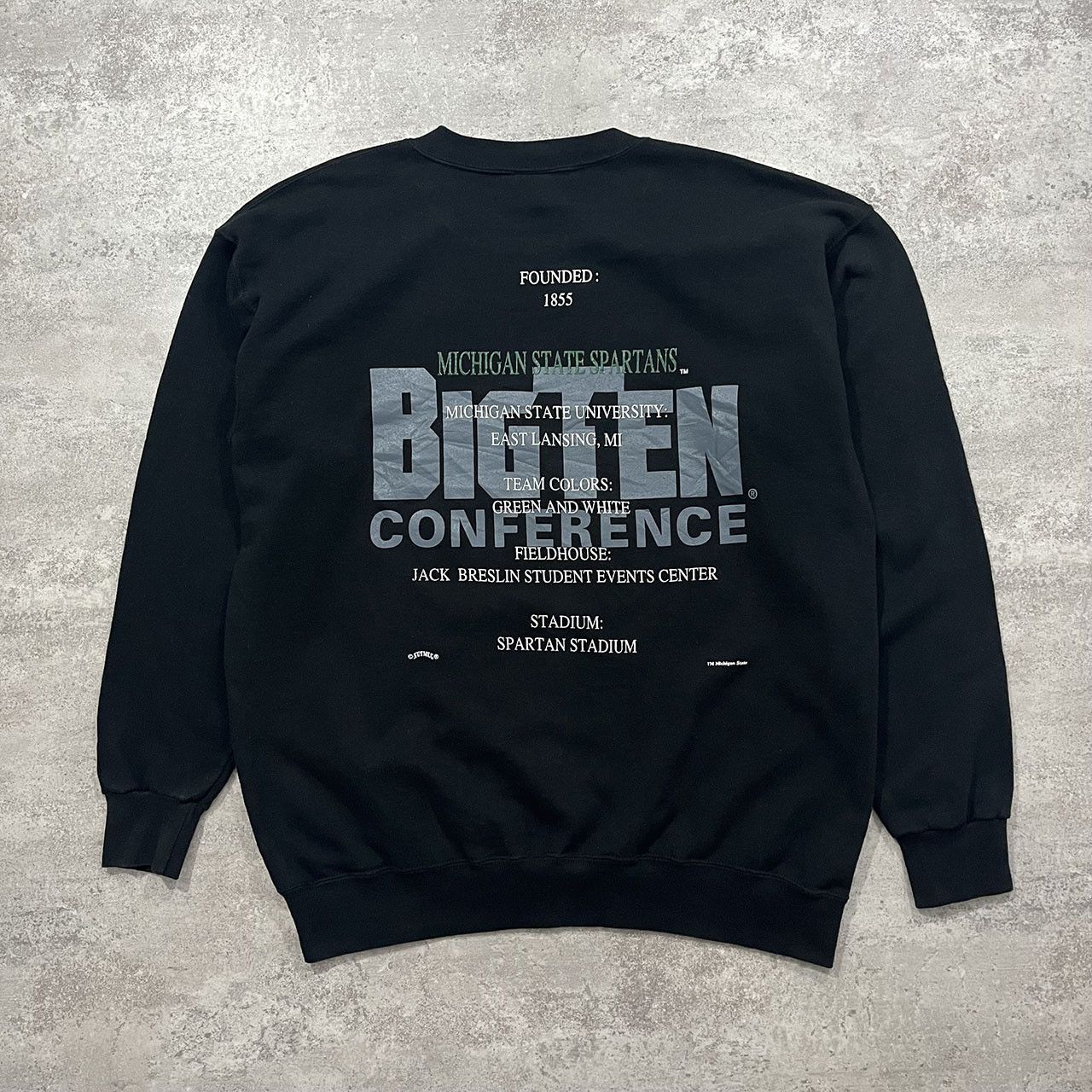 NCAA × Nutmeg × Vintage VTG Michigan State Spartans BIG TEN CONFERENCE SWEATSHIRT Size US L / EU 52-54 / 3 - 2 Thumbnail