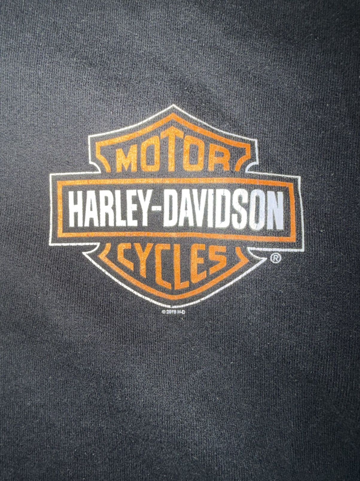 Harley Davidson Harley Davidson Motorcycles Full Zip Hoodie Sweatshirt 2019 Size US L / EU 52-54 / 3 - 2 Thumbnail