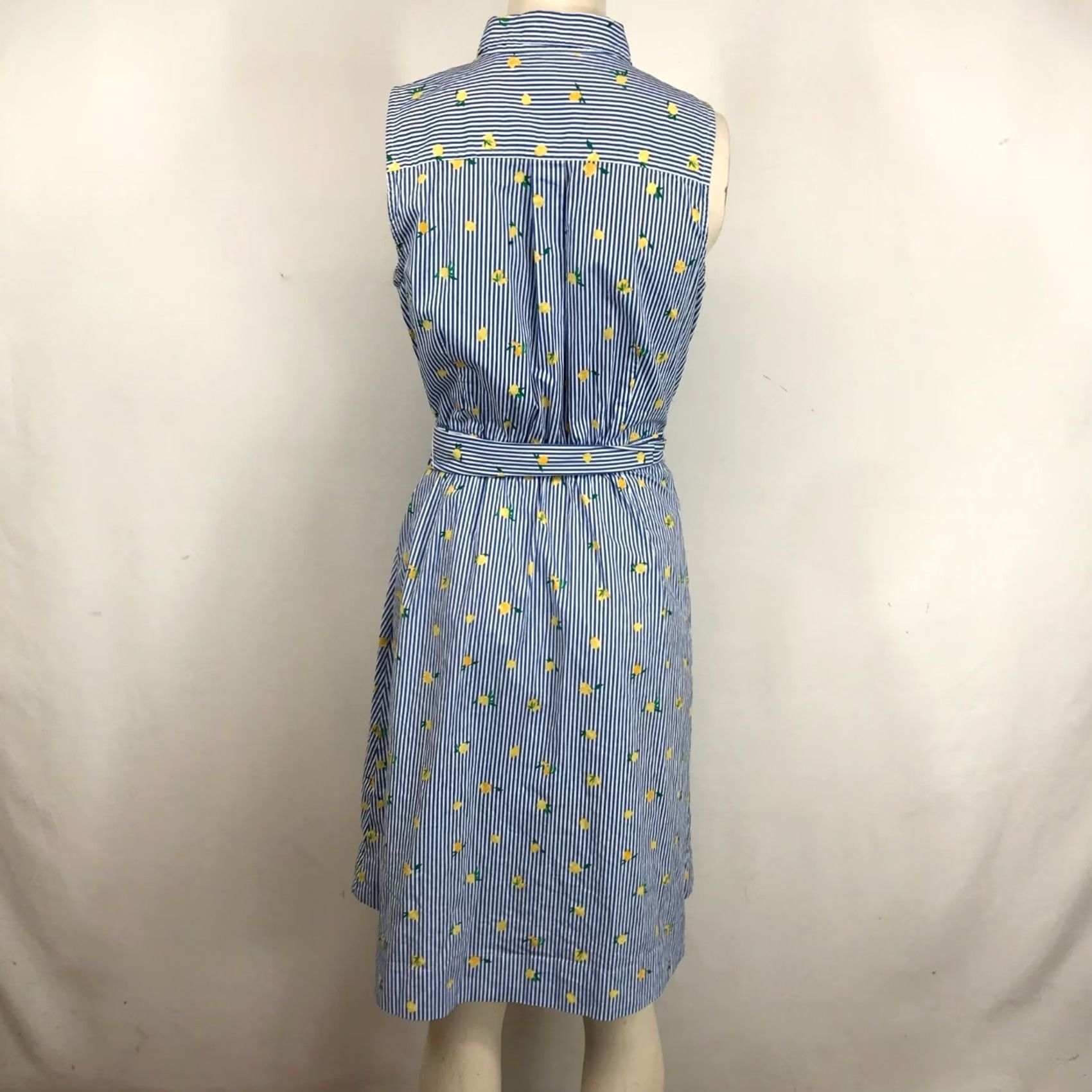 J.Crew J.CREW Women's 8 Button-Up Belted Dress BLUE/WHITE Stripe Size M / US 6-8 / IT 42-44 - 5 Thumbnail
