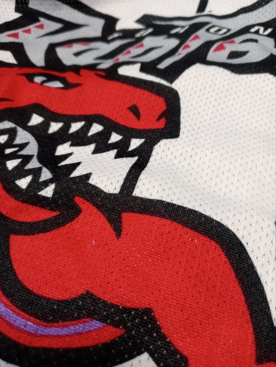 Champion Toronto Raptors #20 Stoudamire Vintage Rare Jersey Size US L / EU 52-54 / 3 - 9 Thumbnail