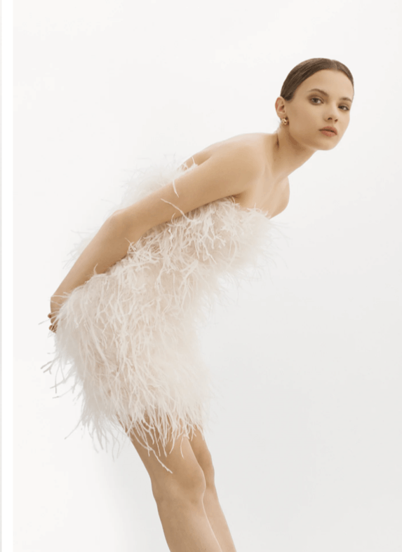 LAMARQUE LAMARQUE Triana Feather dress Size XS / US 0-2 / IT 36-38 - 4 Thumbnail