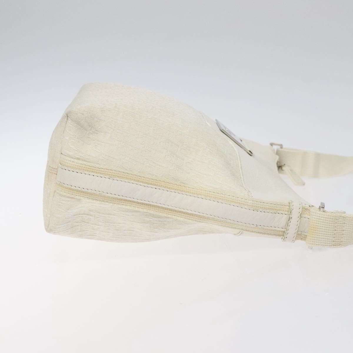 Dior DIOR Trotter Canvas Shoulder Bag White Silver Size ONE SIZE - 3 Thumbnail