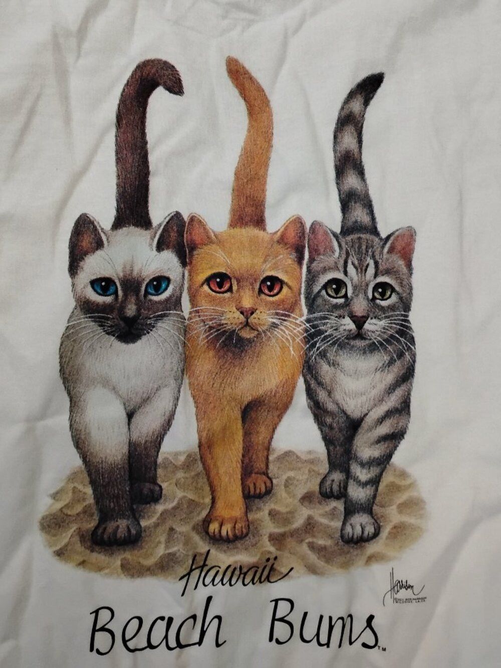 Hanes Vintage Beach Bums Hawaii Cat Kitten Bob Harrison T-Shirt Size US XL / EU 56 / 4 - 1 Thumbnail