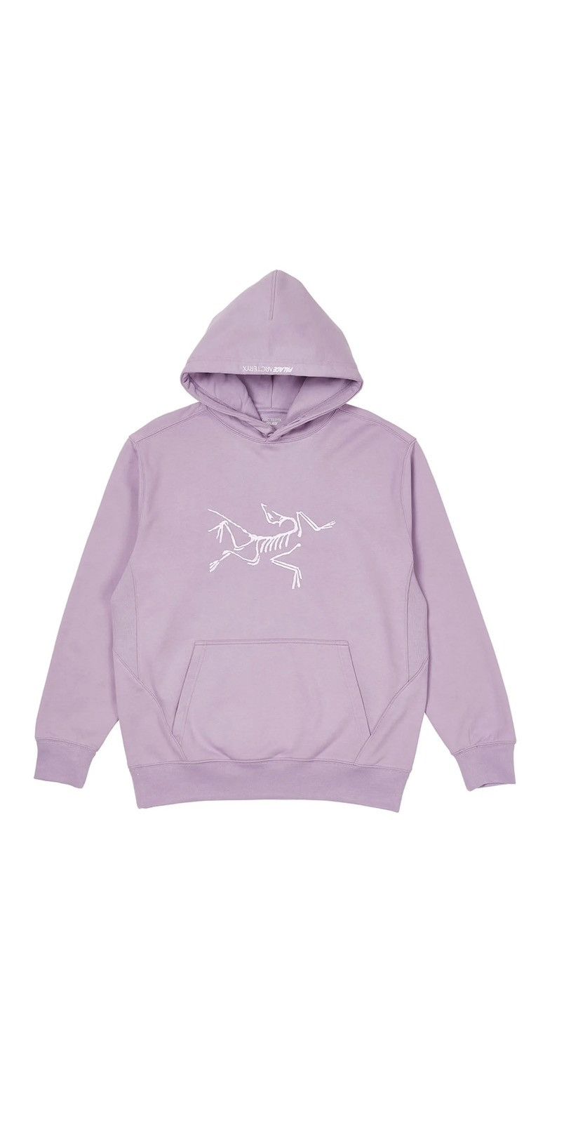 Arc Teryx Palace Palace Arcteryx Logo Hoodie Grailed