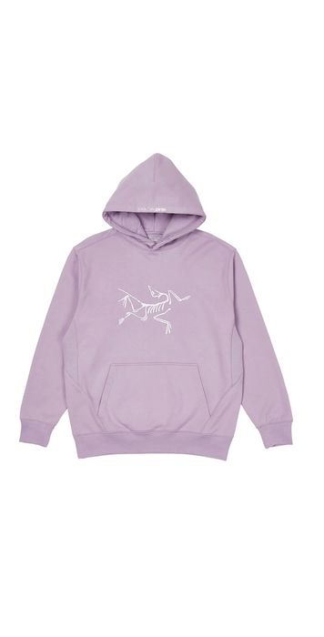 Arcteryx palace hoodie hot sale