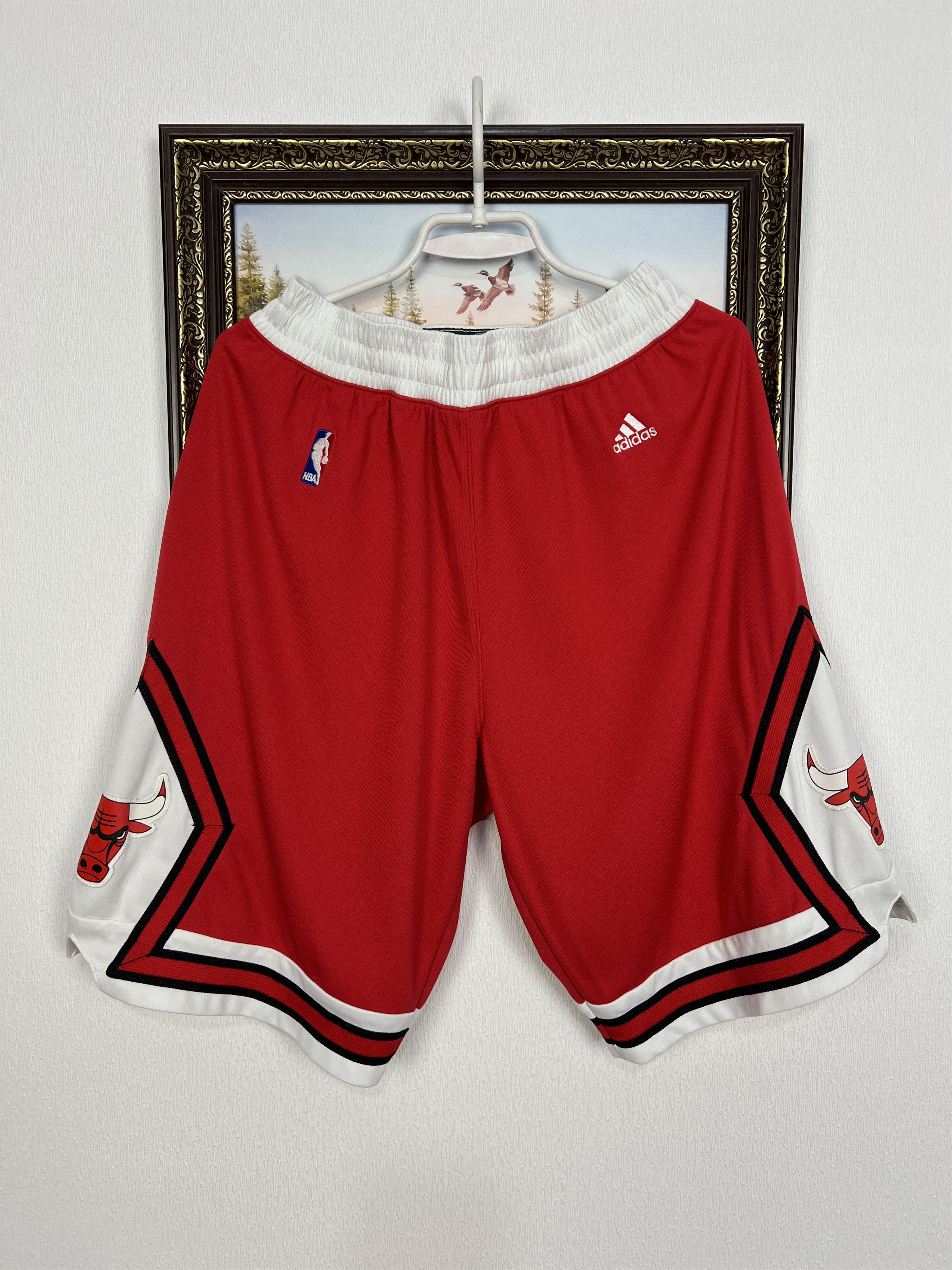 Vintage Chicago Bulls Derrick Rose NBA Shorts Rare Hype