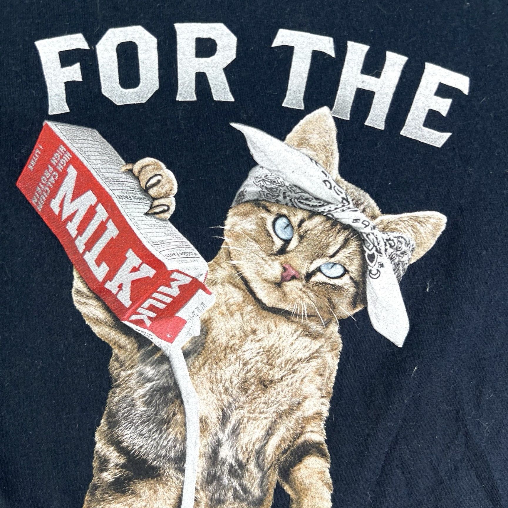 Fruit Of The Loom VINTAGE Fruit of the Loom Black Cat T-Shirt Adult 2XL Short Sleeve Crew Neck Casual Summer Spring Unisex Size XXL / US 16-18 / IT 52-54 - 2 Thumbnail