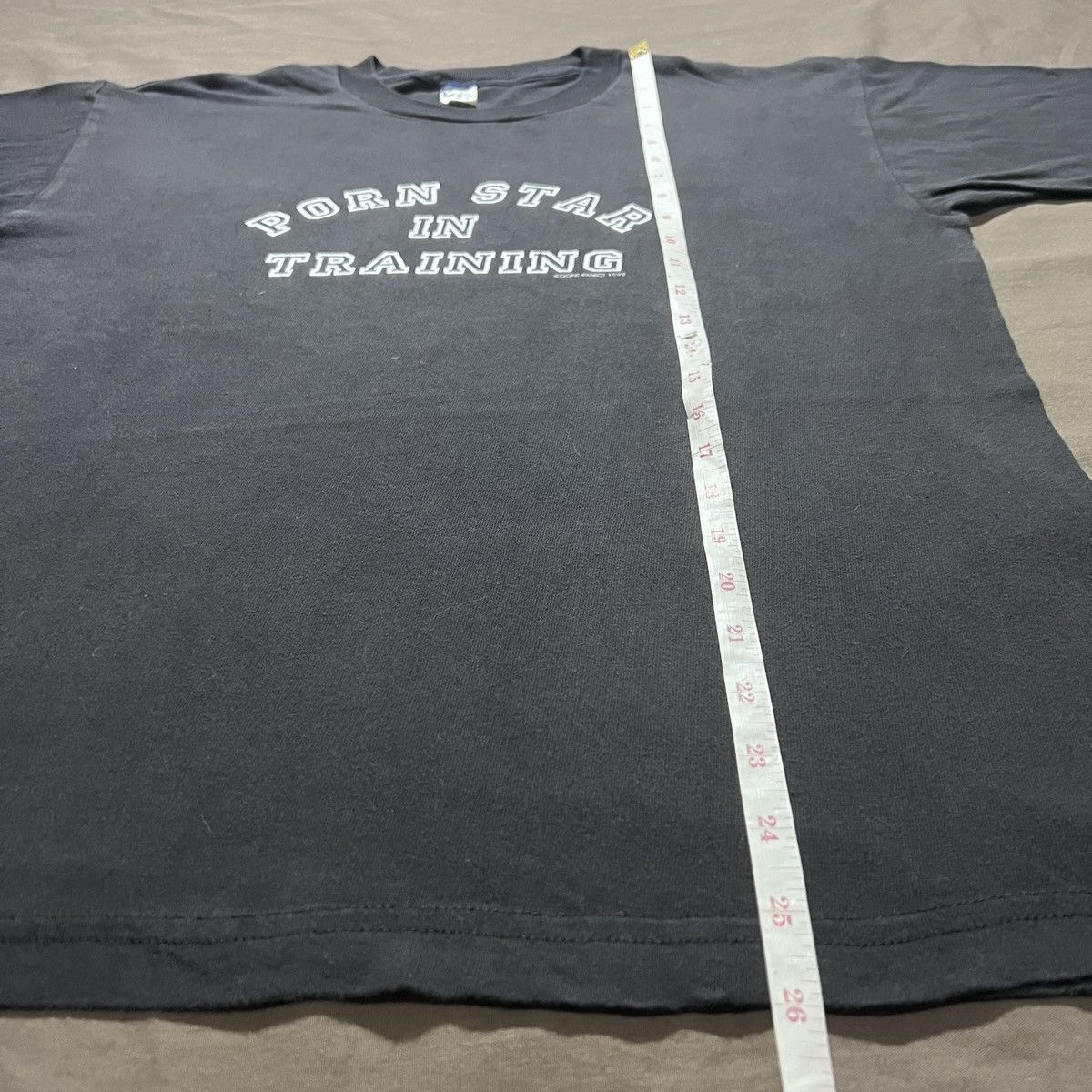 Vintage 90s Porn Star In Training Dont Panic Graphic Tee