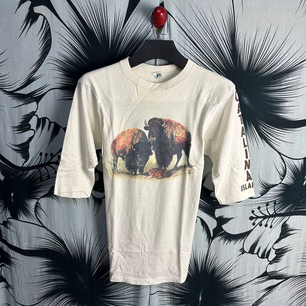 True Vintage 90s American Bison Single Stitch T-Shirt