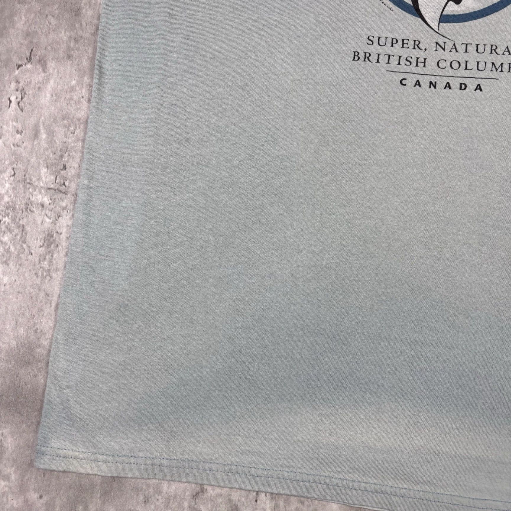 Gildan VINTAGE Salmon Fish Art T Shirt Blue Sun Faded 90s Nature Outdoors size Large Size US L / EU 52-54 / 3 - 5 Thumbnail