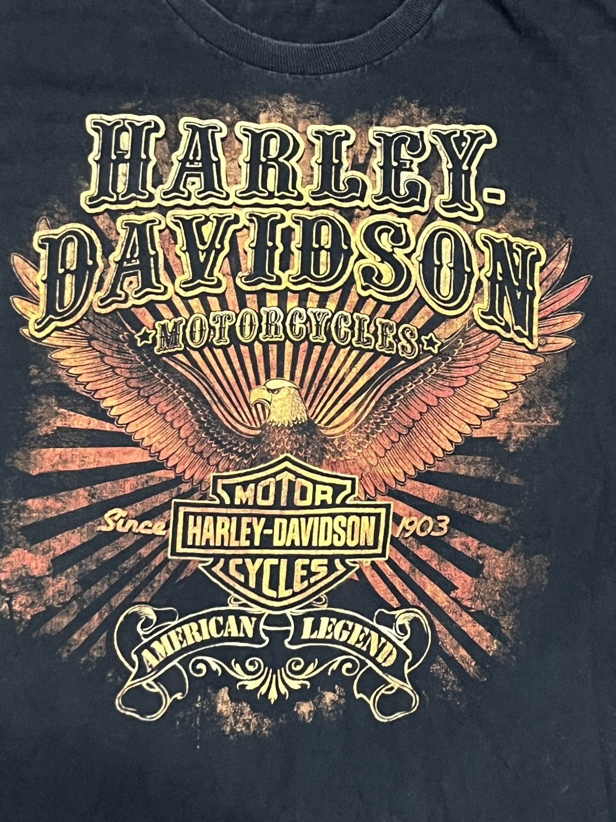 Harley Davidson Harley Davidson "Showa-no-Mori Tokyo" Eagle Graphic T-Shirt Size US L / EU 52-54 / 3 - 14 Thumbnail