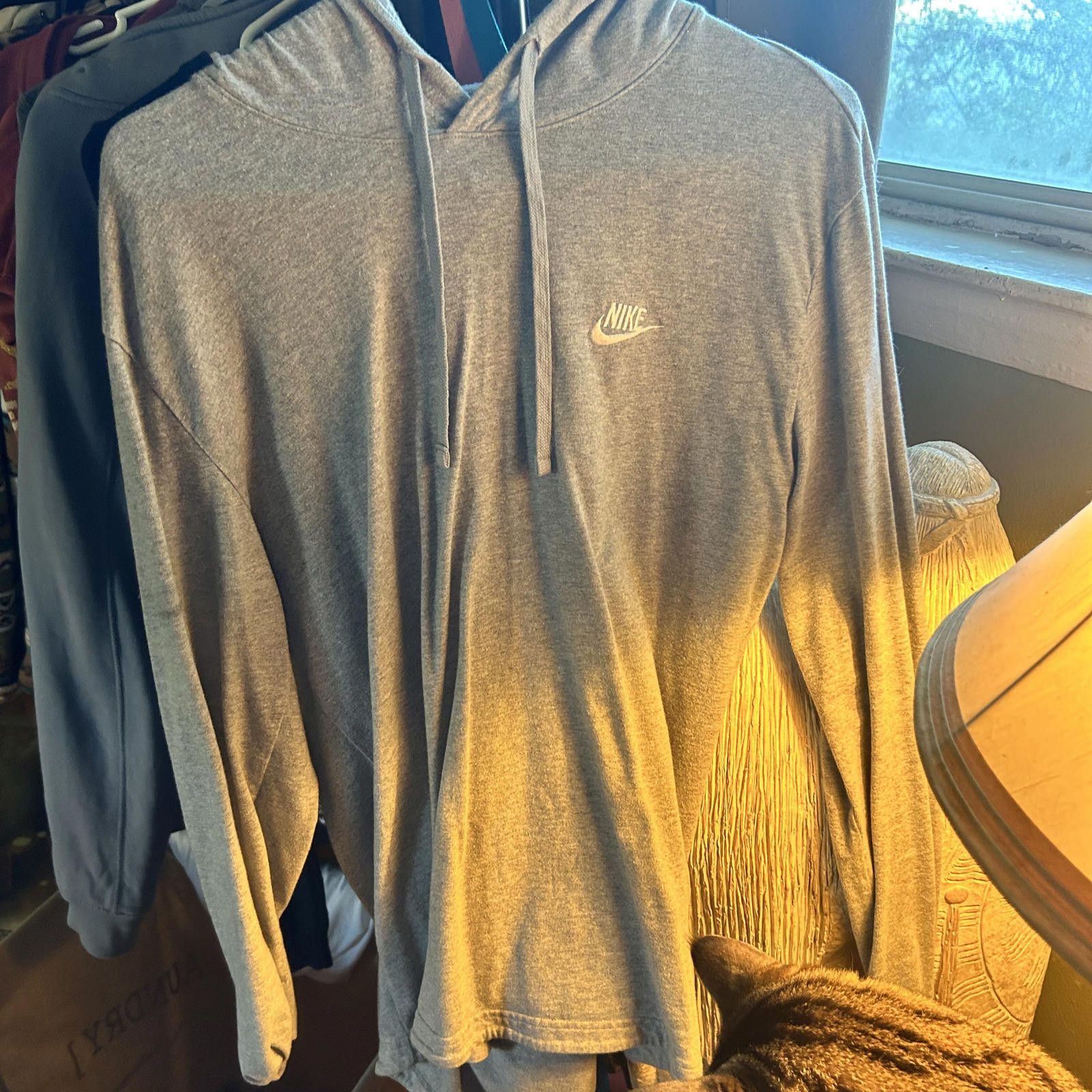 Nike Nike Men's Lightweight Grey Hoodie - Favorite Lazy Day Size US M / EU 48-50 / 2 - 1 Thumbnail