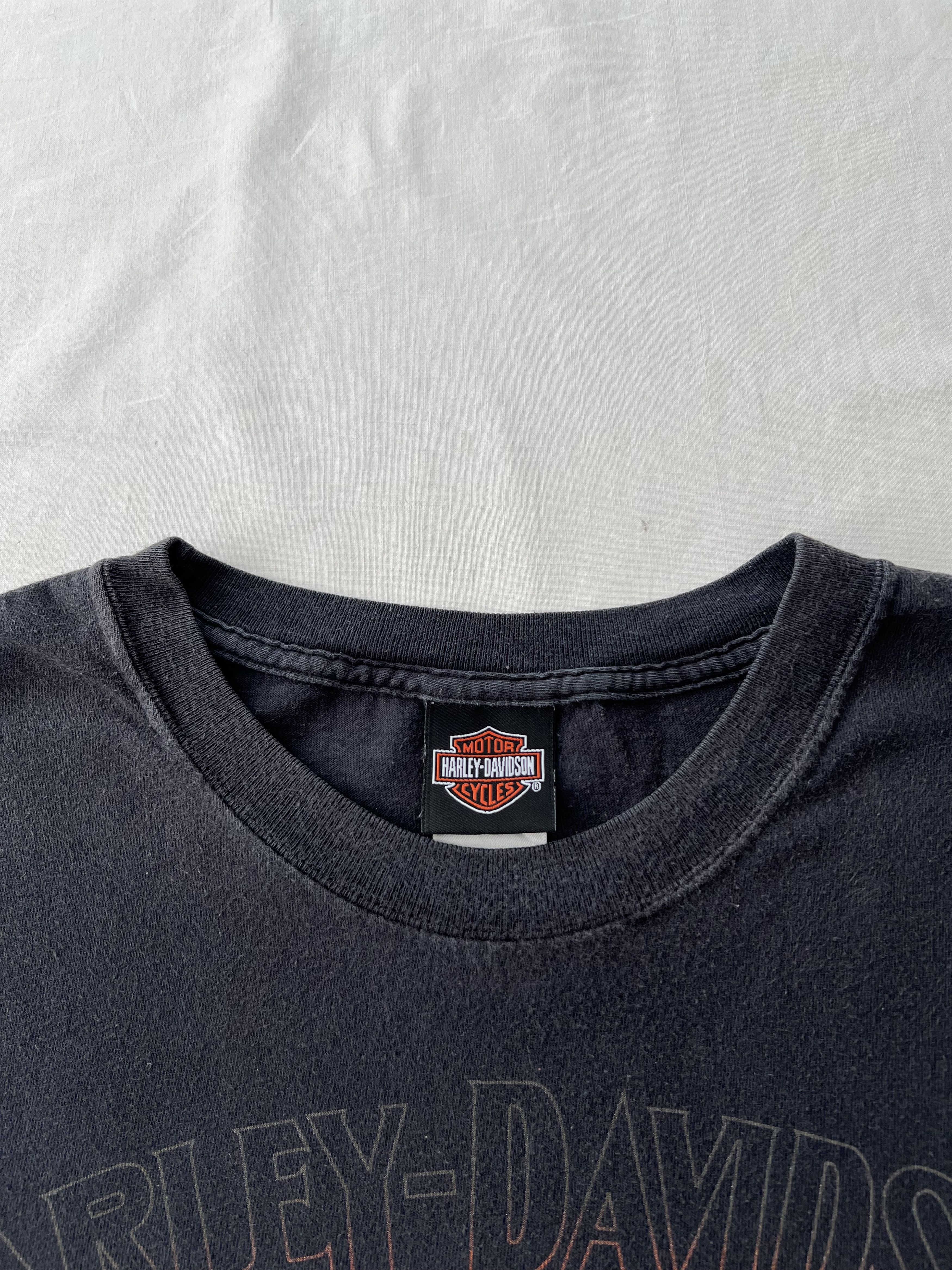 Harley Davidson Vintage 2006 Harley Davidson Motorcycle Fire Flame T-shirt Size US XL / EU 56 / 4 - 10 Thumbnail