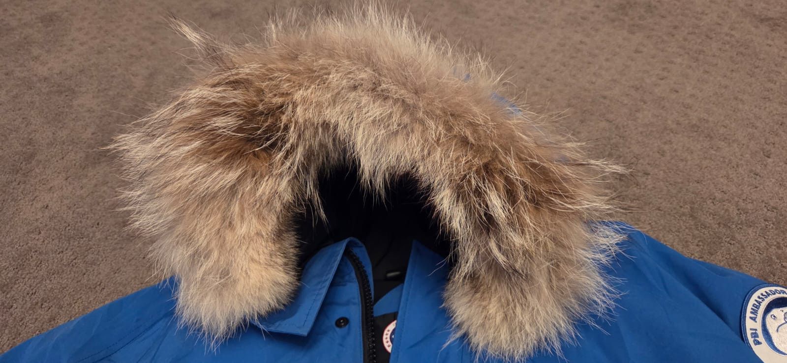 Canada Goose Vintage Canada Goose Blue PBI Chiliwak Bomber Jacket Size US L / EU 52-54 / 3 - 9 Thumbnail