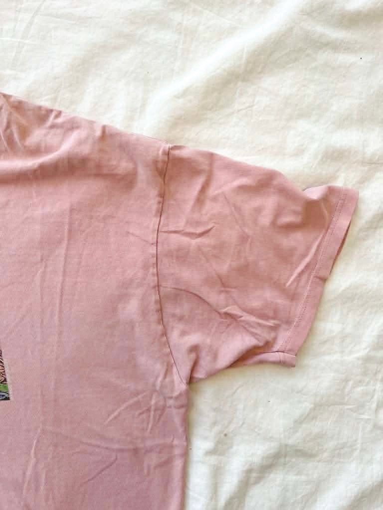 Stussy Haile Selaisse graphic pink t-shirt Size US L / EU 52-54 / 3 - 4 Thumbnail