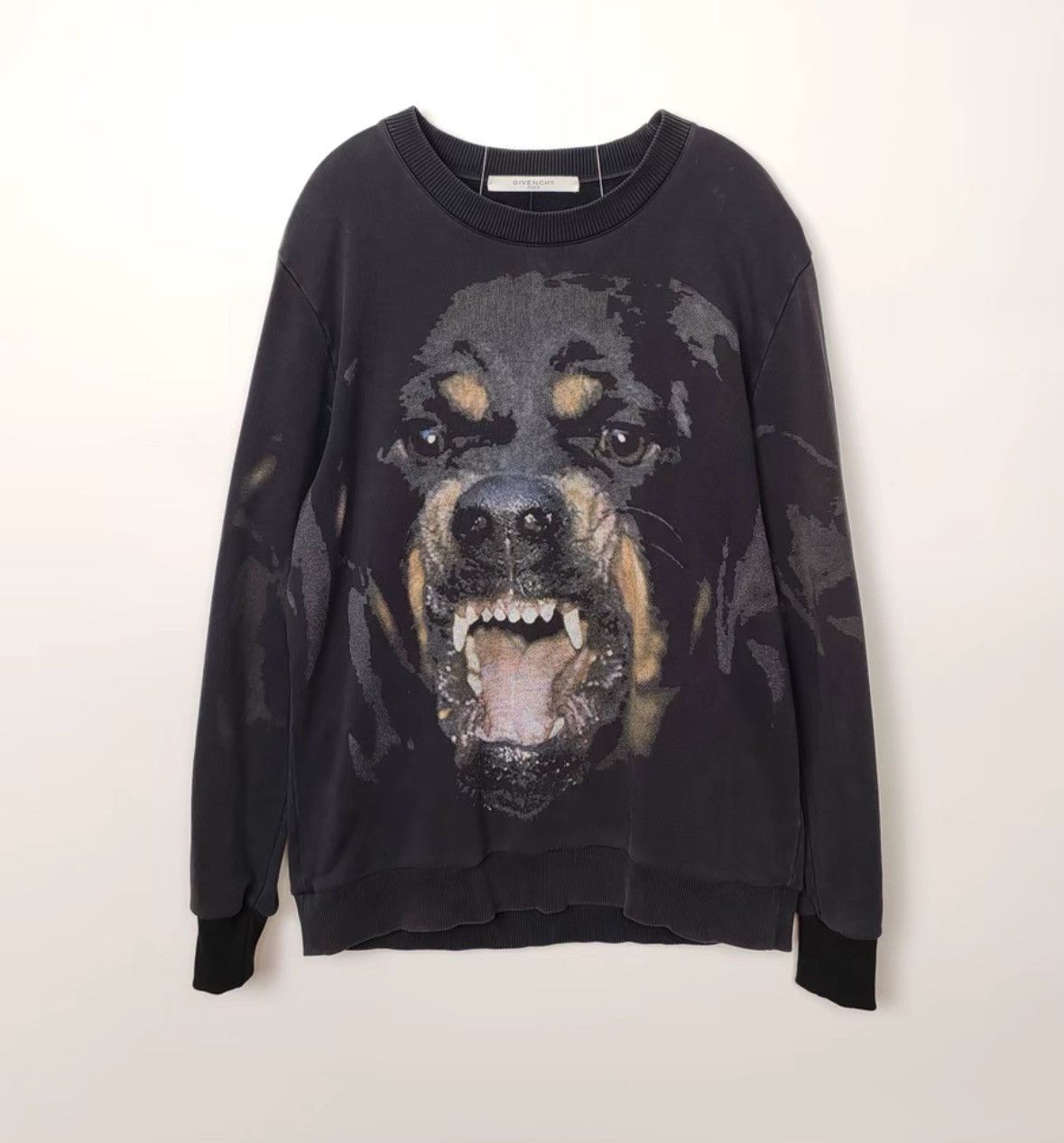 Givenchy Dog Head Printed Sweatshirt