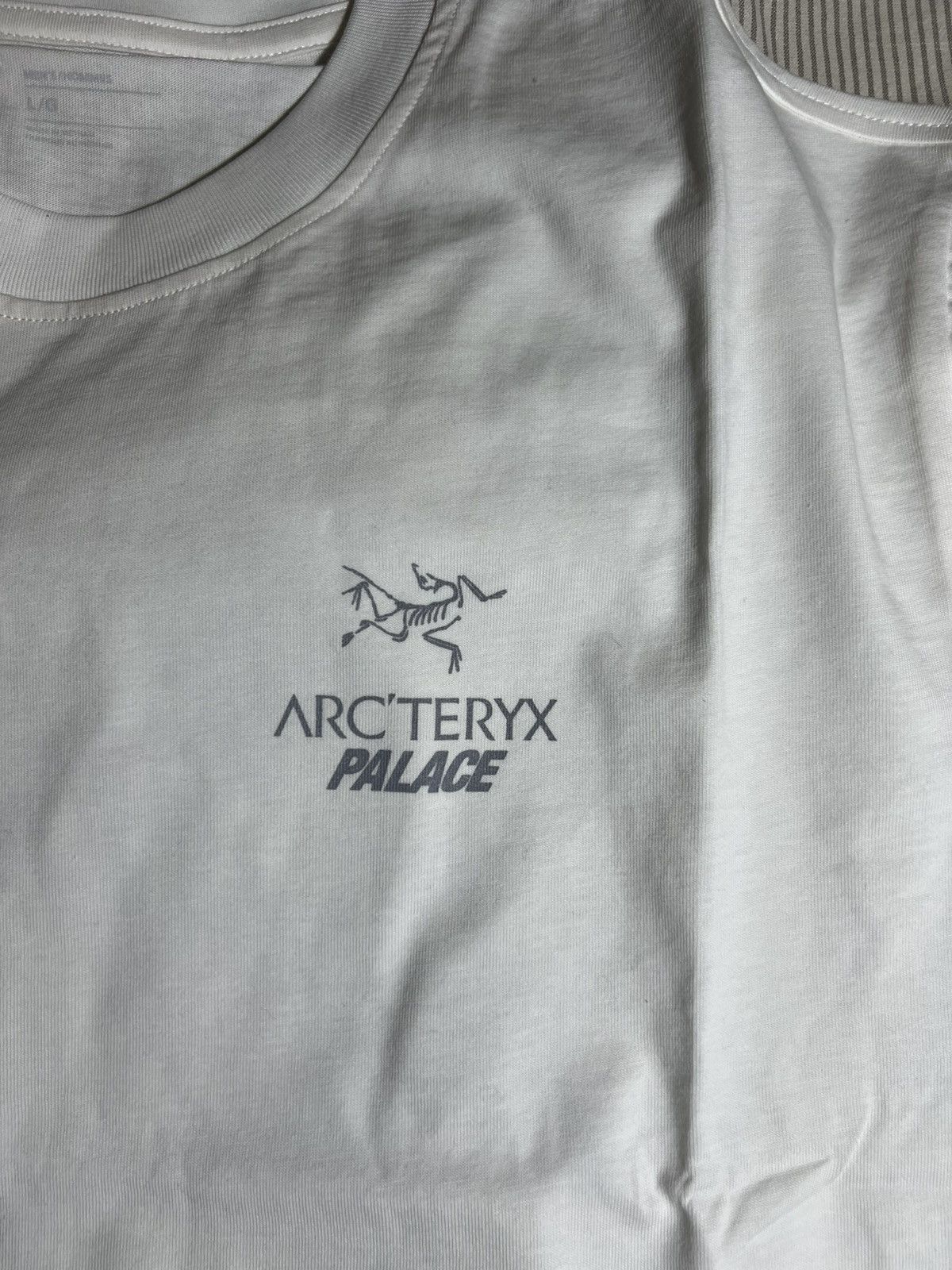 Arc'teryx × Palace FW20 Palace Arc’teryx White Tee Size US L / EU 52-54 / 3 - 9 Thumbnail