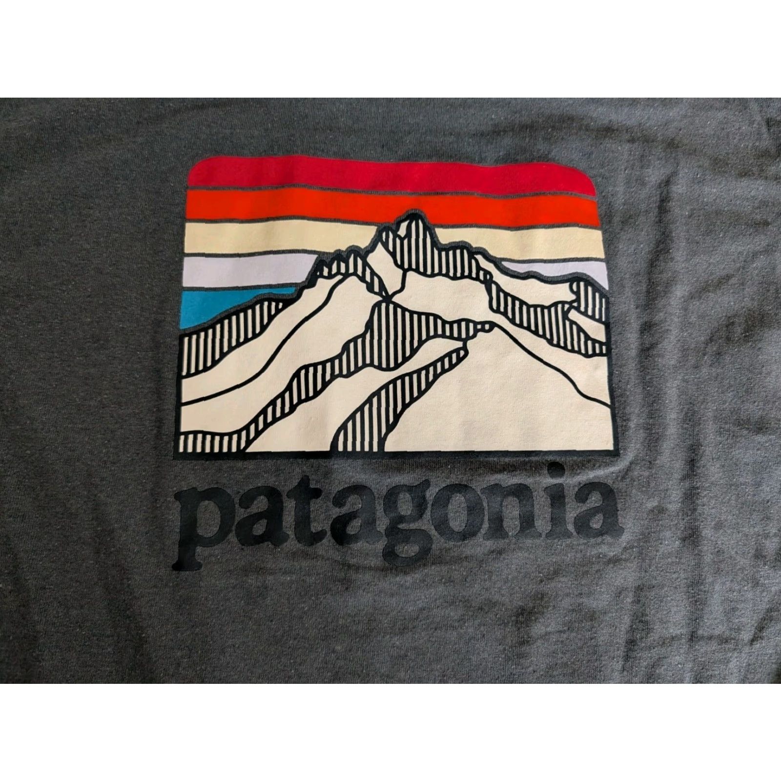 Patagonia Patagonia Gray Long Sleeve Line Logo Ridge Responsibili-Tee Men's Size Small EUC Size US S / EU 44-46 / 1 - 3 Thumbnail