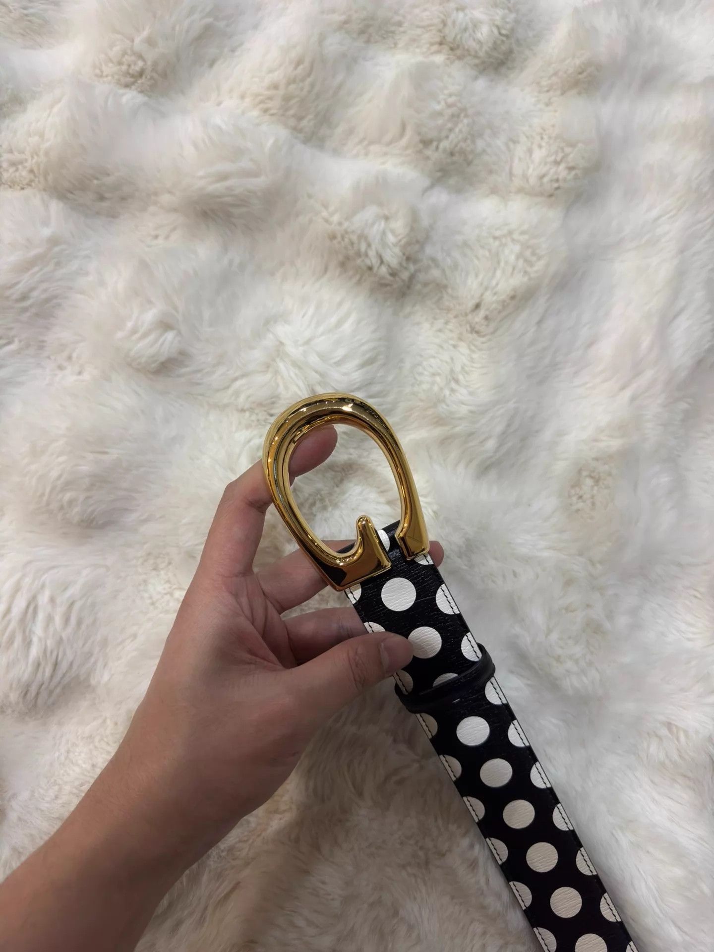 Gucci Gucci Black & White Polka Dot Gold Buckle Belt Size 85 Size ONE SIZE - 5 Thumbnail