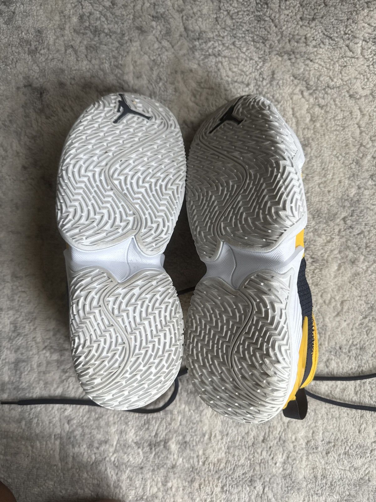 Jordan Brand Michigan PE’s Size US 8 / EU 41 - 5 Thumbnail