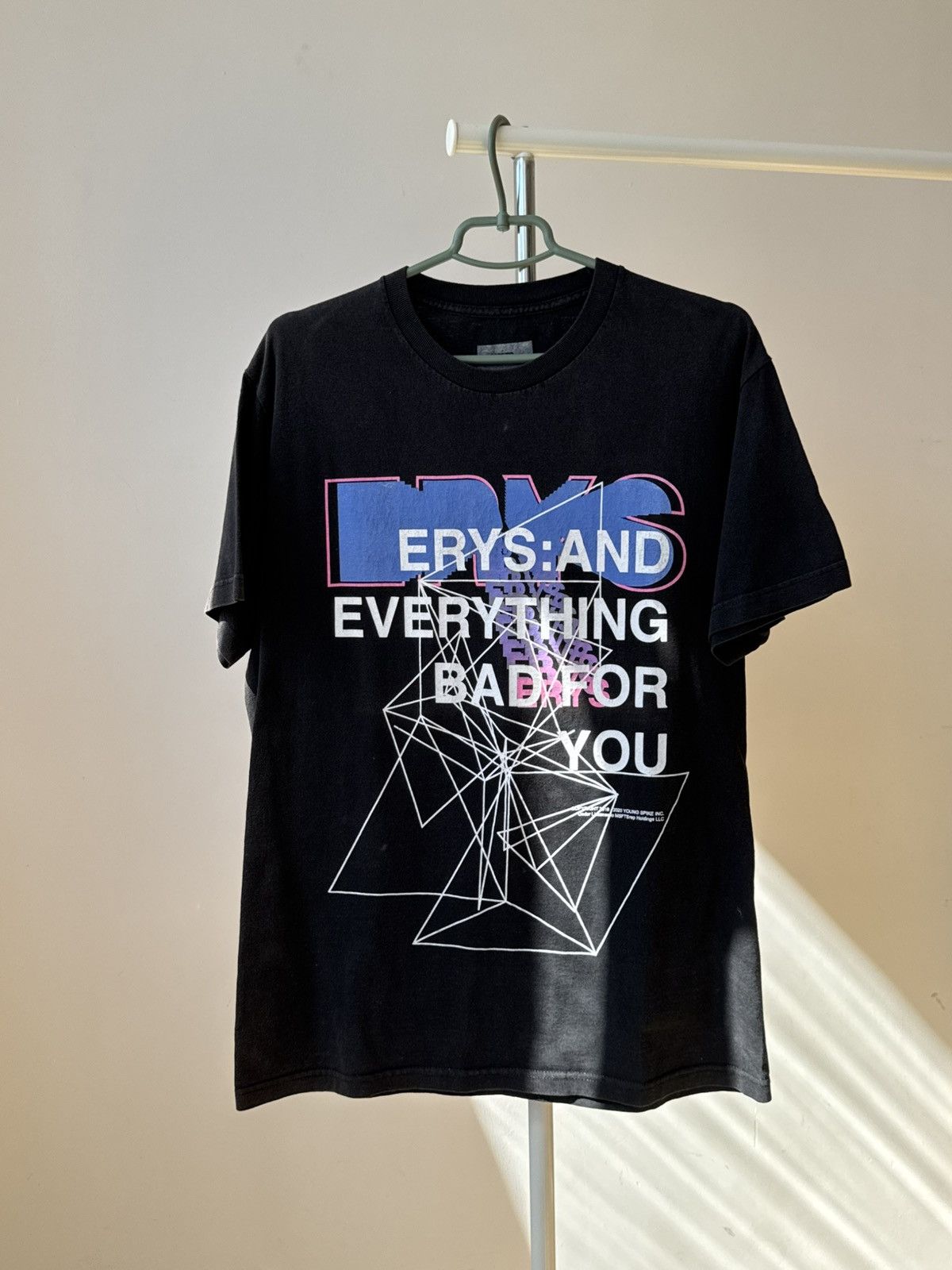 Msftsrep MSFTSrep Erys and Everything Bad For You T-shirt Size US L / EU 52-54 / 3 - 1 Thumbnail