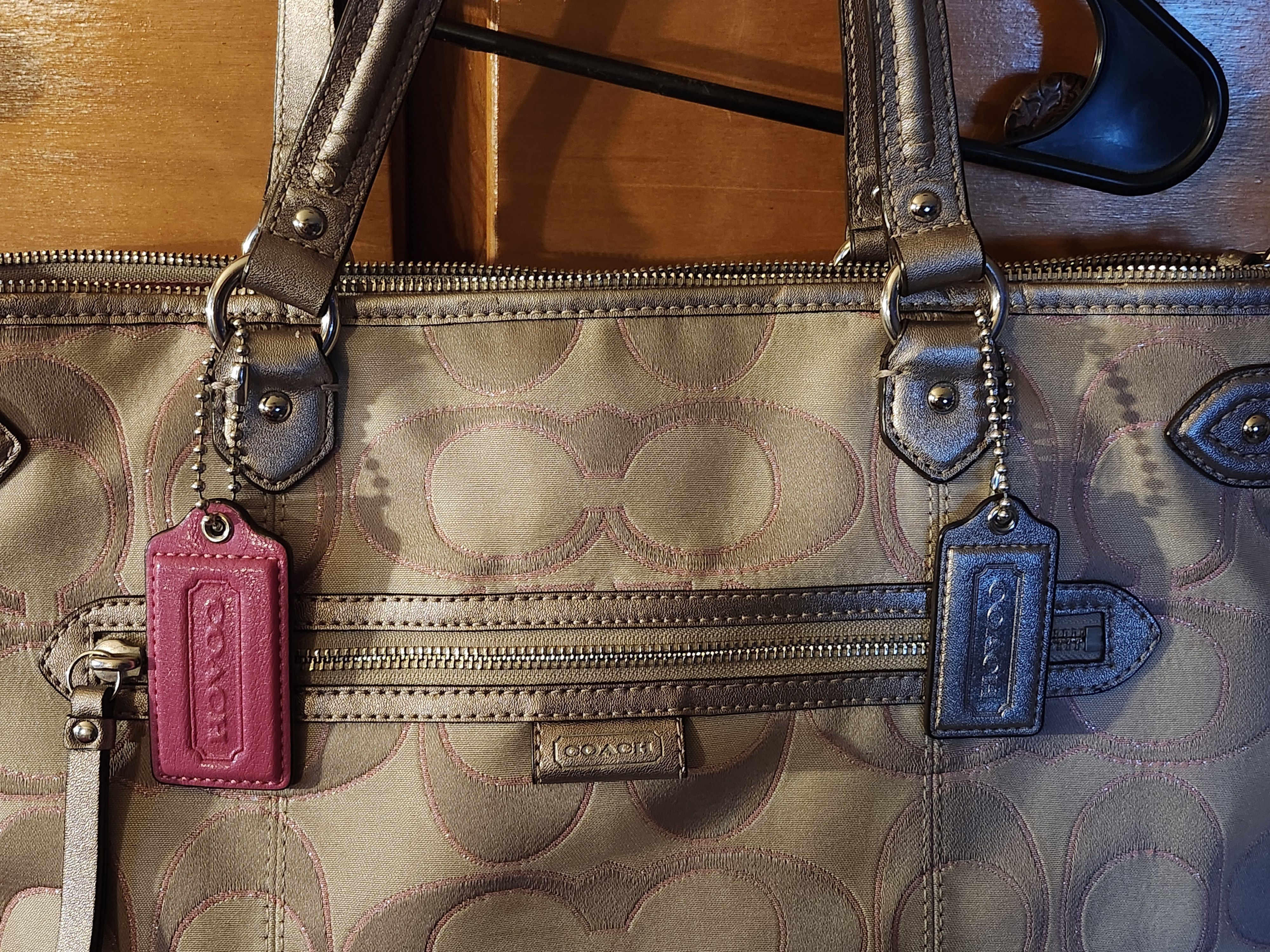 Coach Coach Daisy Outline Signature Metallic EMMA Tote Size ONE SIZE - 2 Thumbnail
